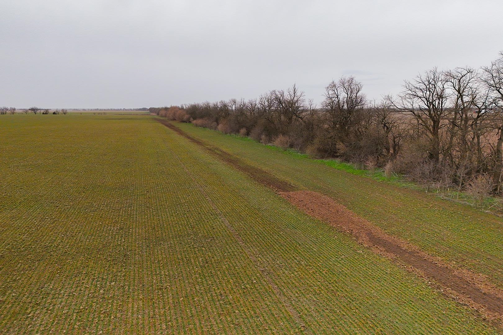 74+/- Acres 101st, Mount Hope, Kansas image 12