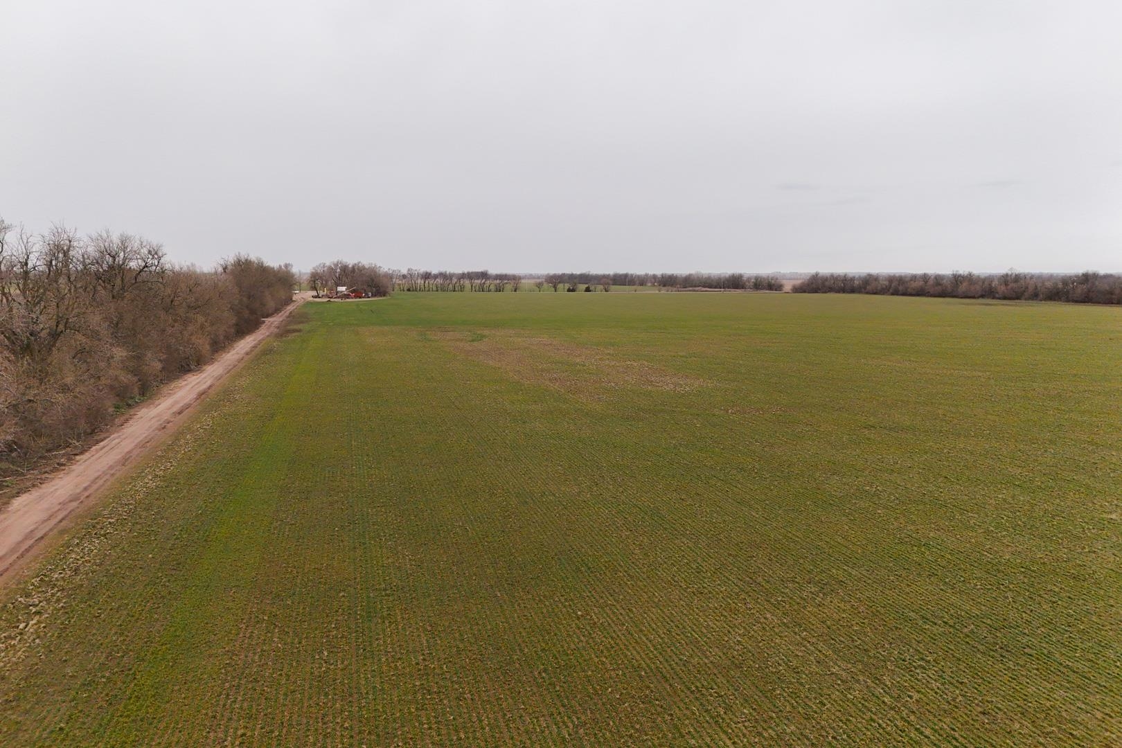 74+/- Acres 101st, Mount Hope, Kansas image 4