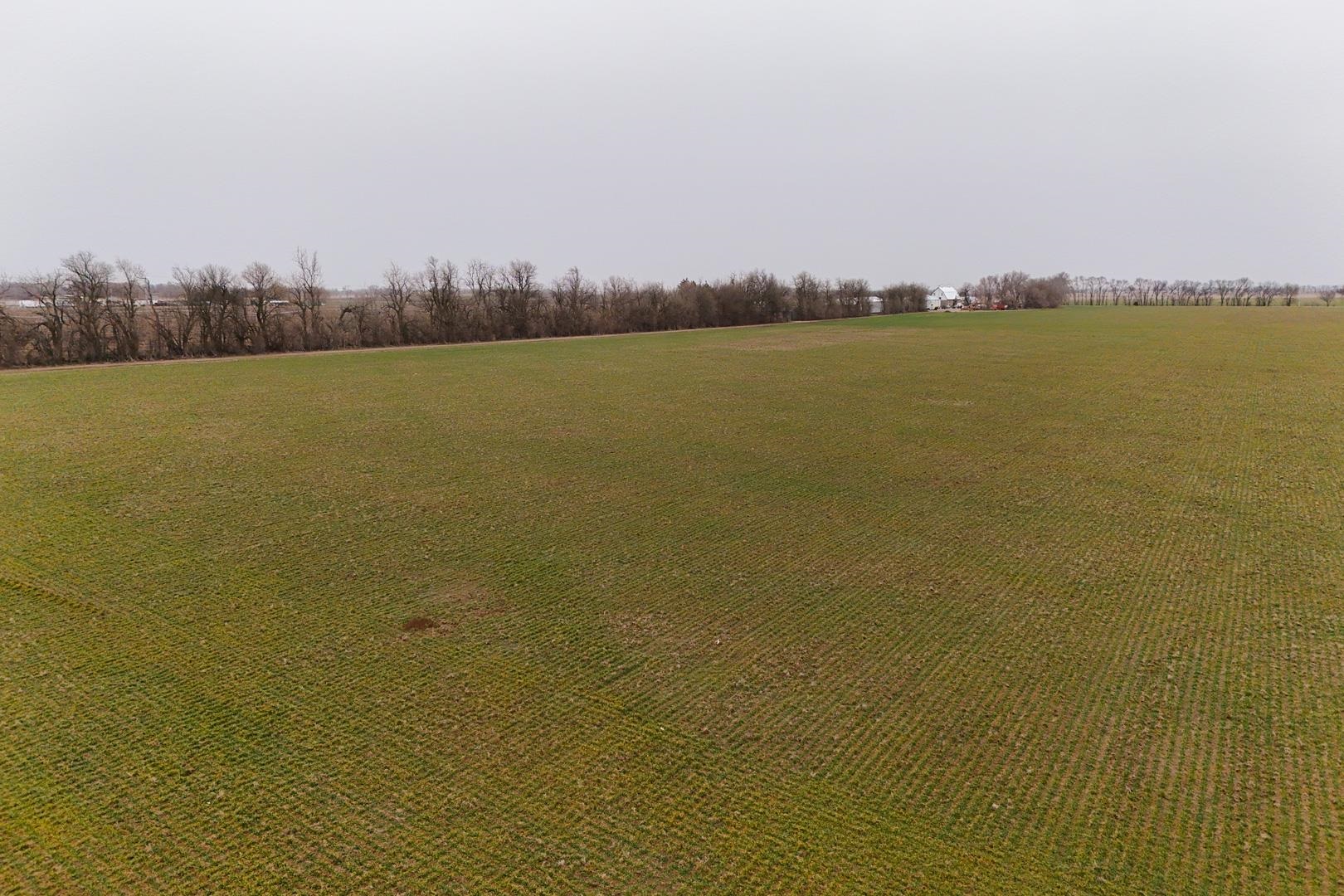 74+/- Acres 101st, Mount Hope, Kansas image 9