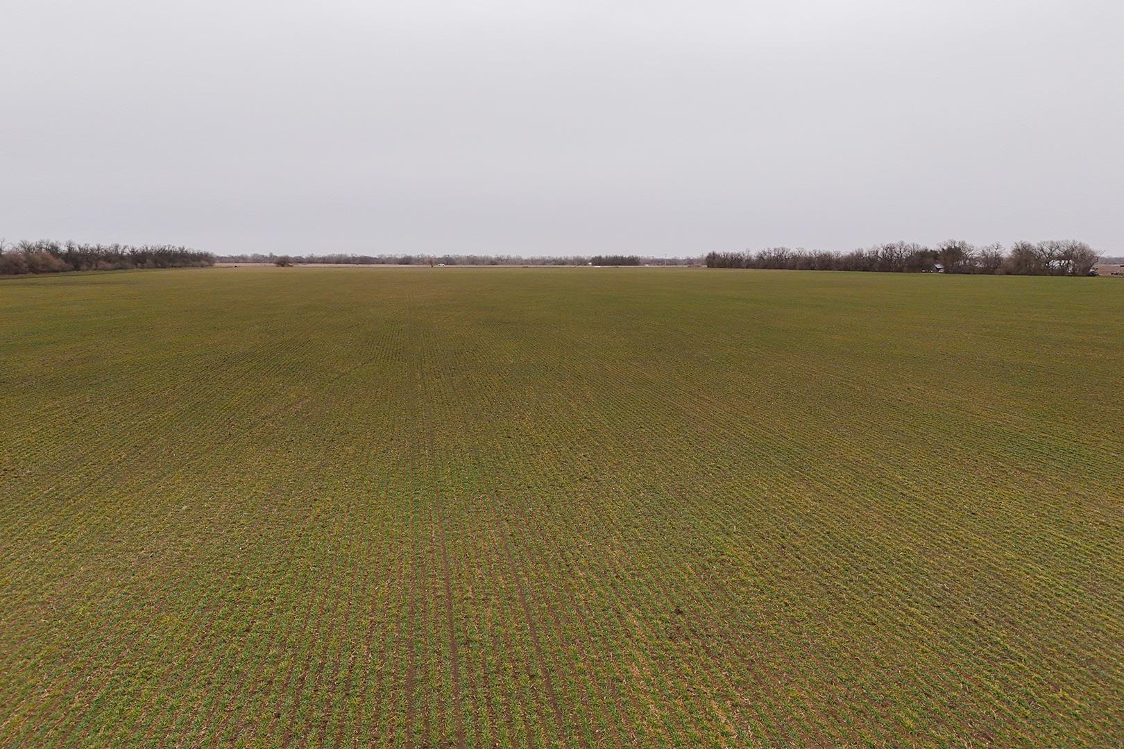 74+/- Acres 101st, Mount Hope, Kansas image 21