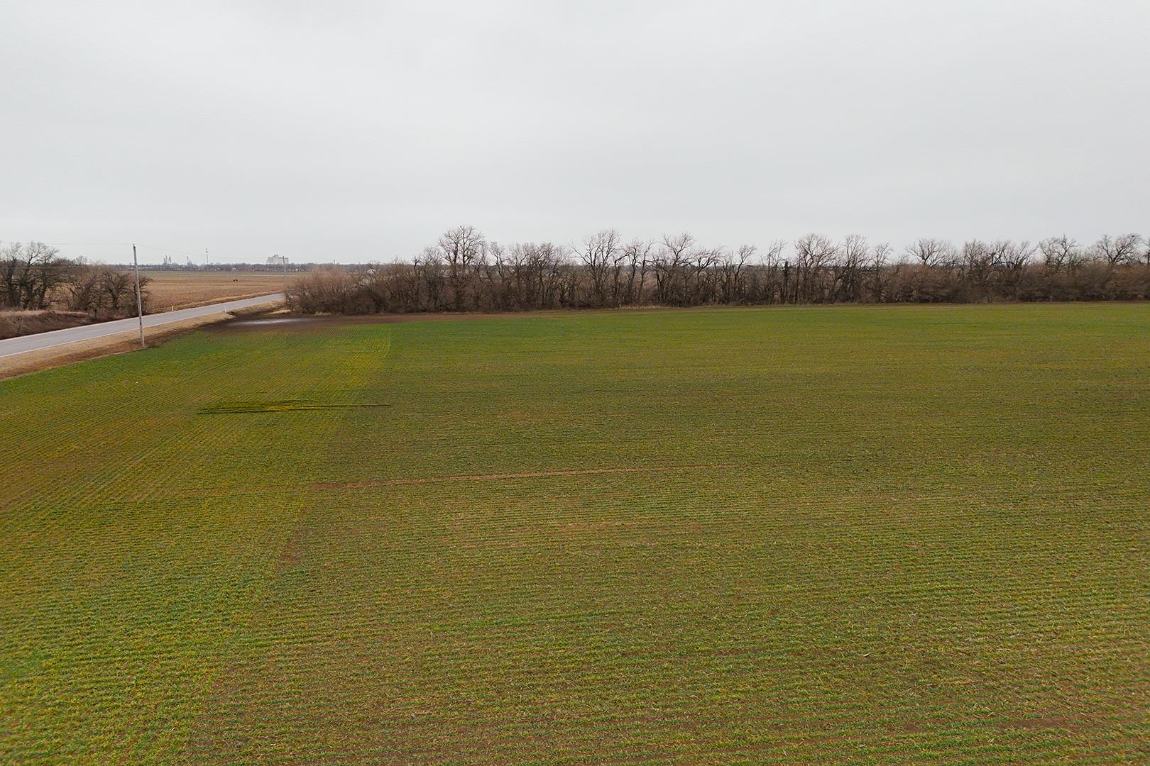 74+/- Acres 101st, Mount Hope, Kansas image 22