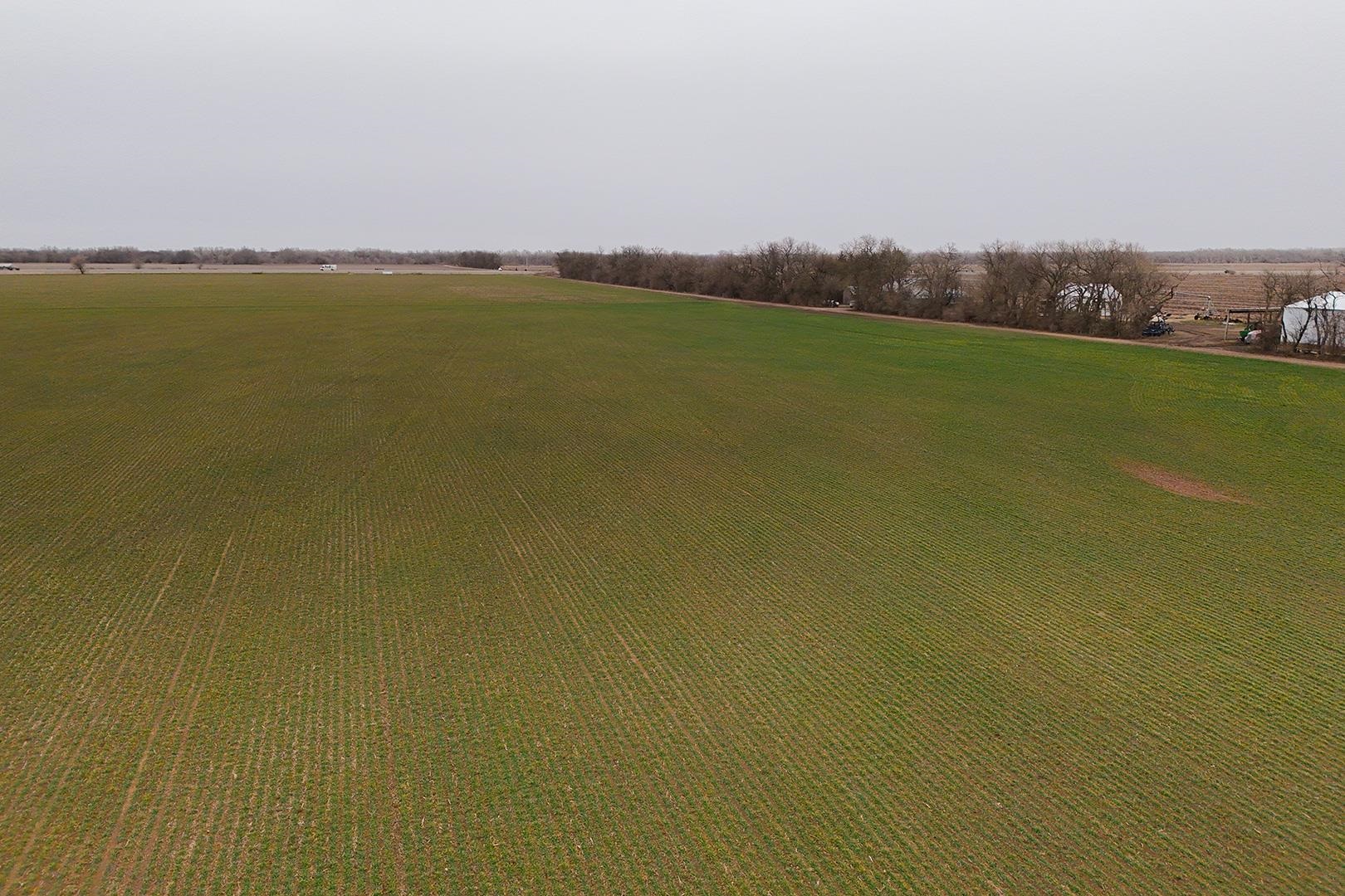 74+/- Acres 101st, Mount Hope, Kansas image 32