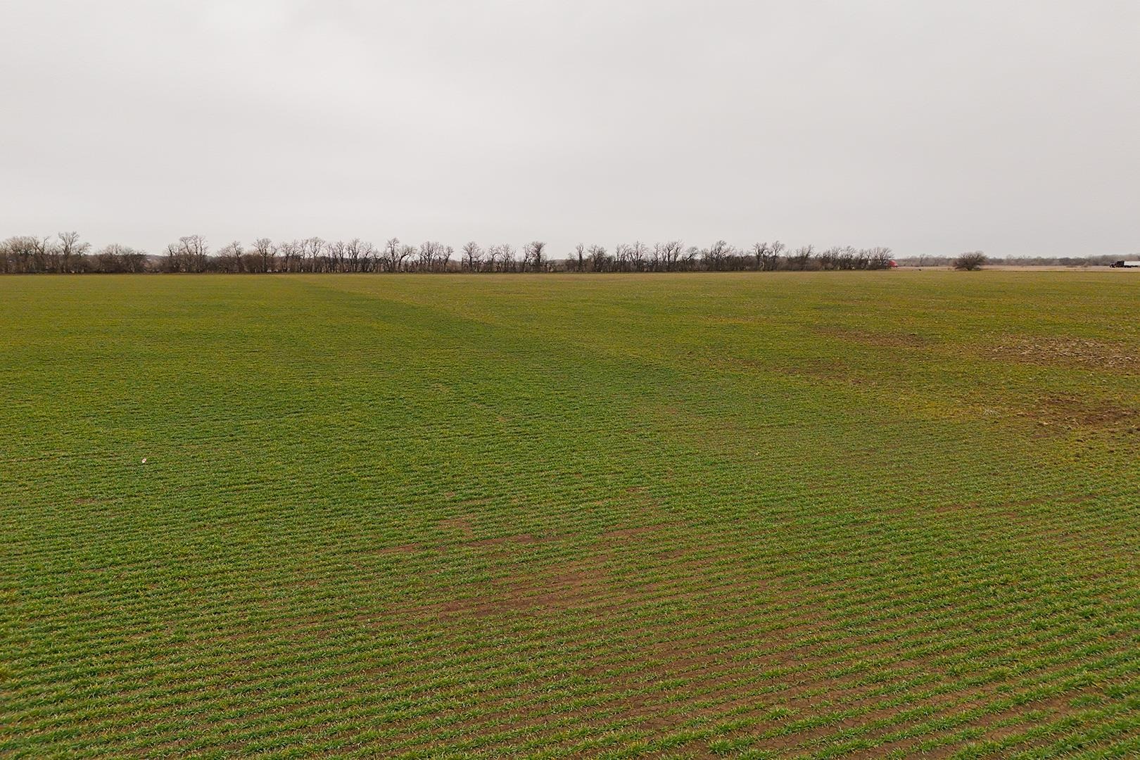 74+/- Acres 101st, Mount Hope, Kansas image 35