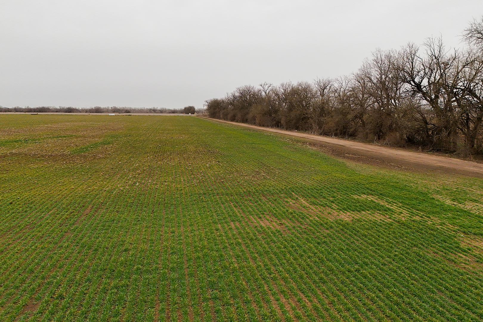 74+/- Acres 101st, Mount Hope, Kansas image 34