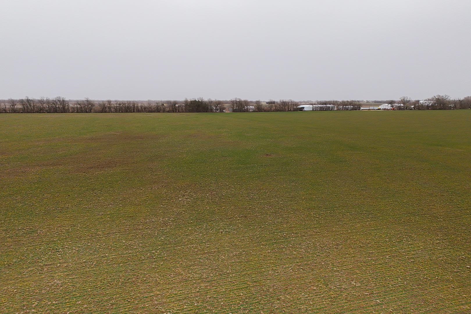 74+/- Acres 101st, Mount Hope, Kansas image 14