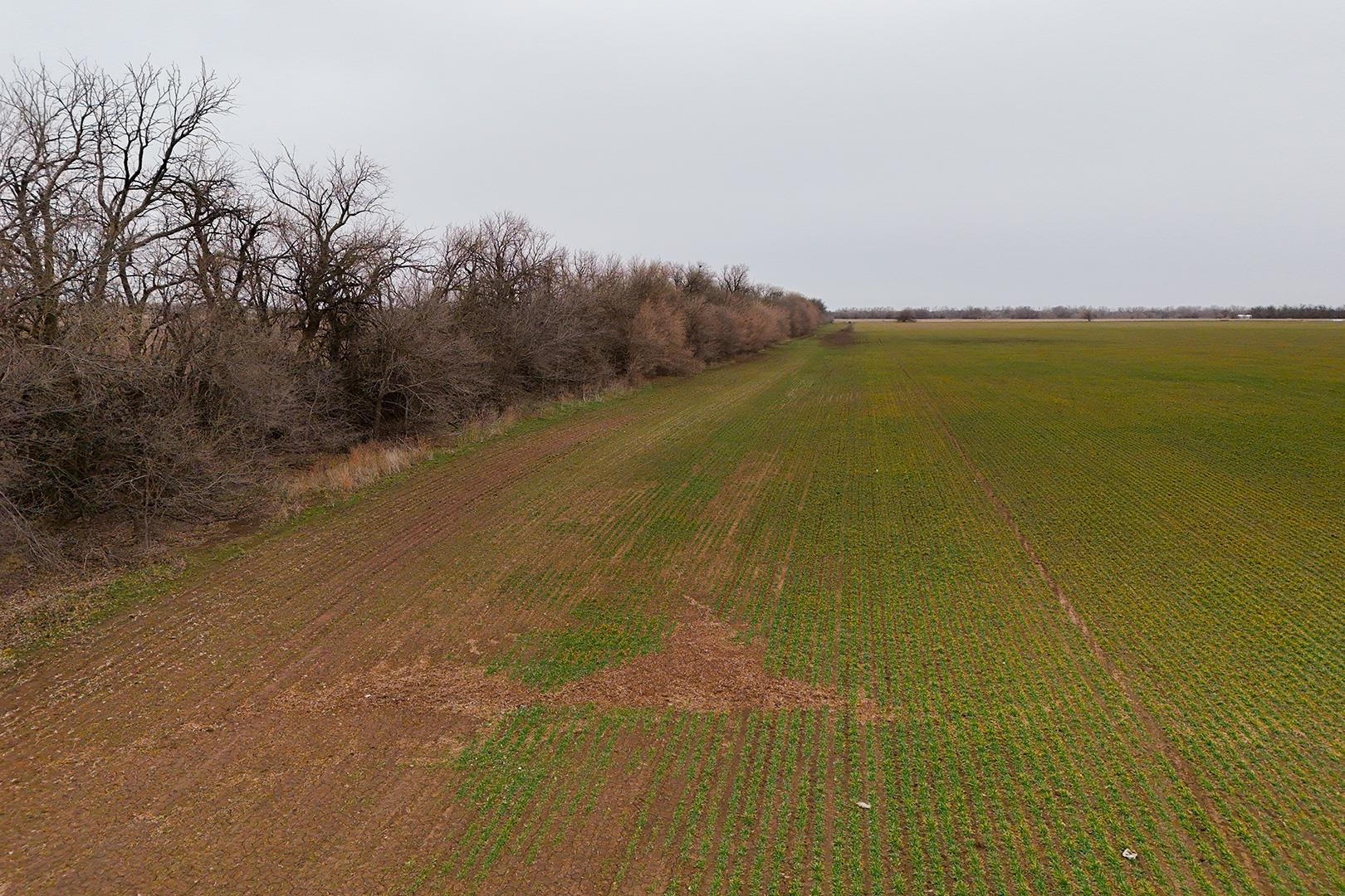 74+/- Acres 101st, Mount Hope, Kansas image 20