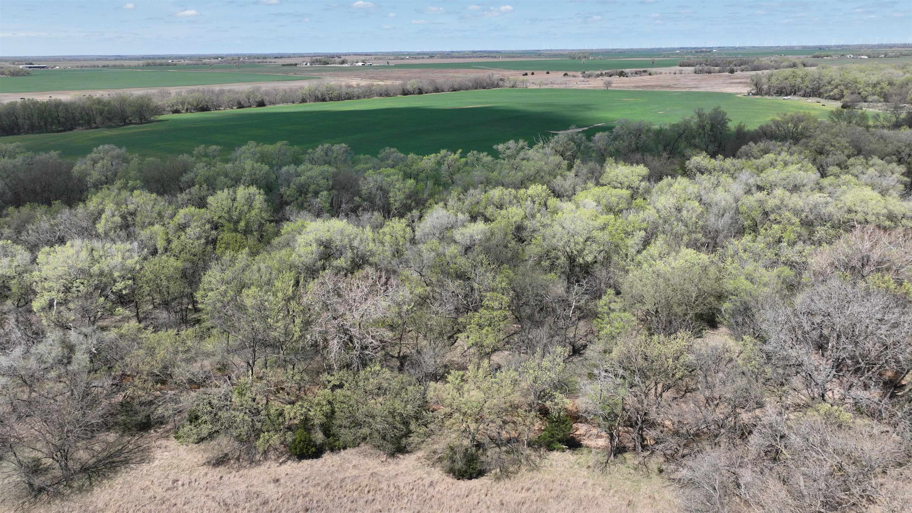 000 NW 70 Rd, Harper, Kansas image 20