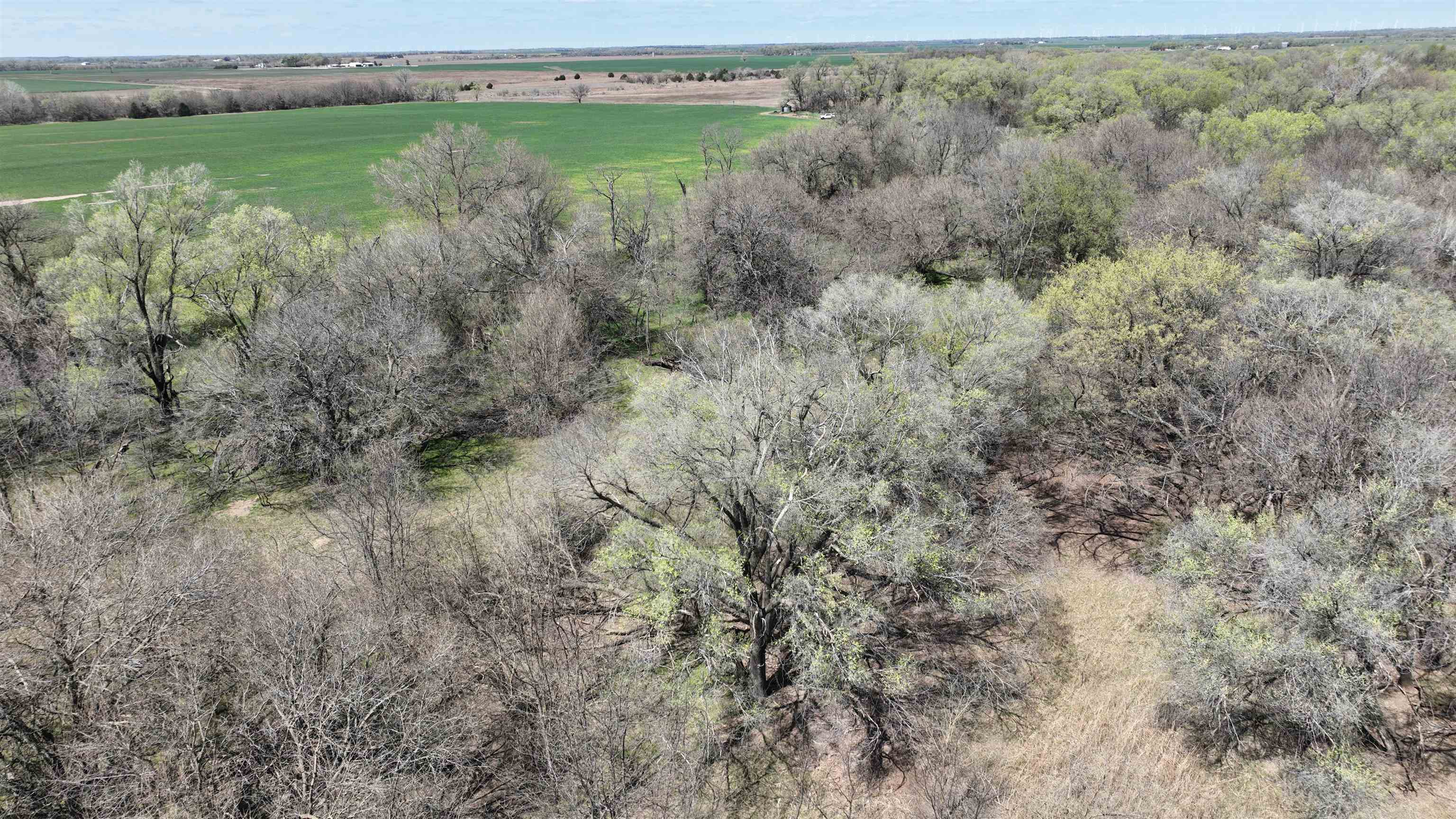 000 NW 70 Rd, Harper, Kansas image 22