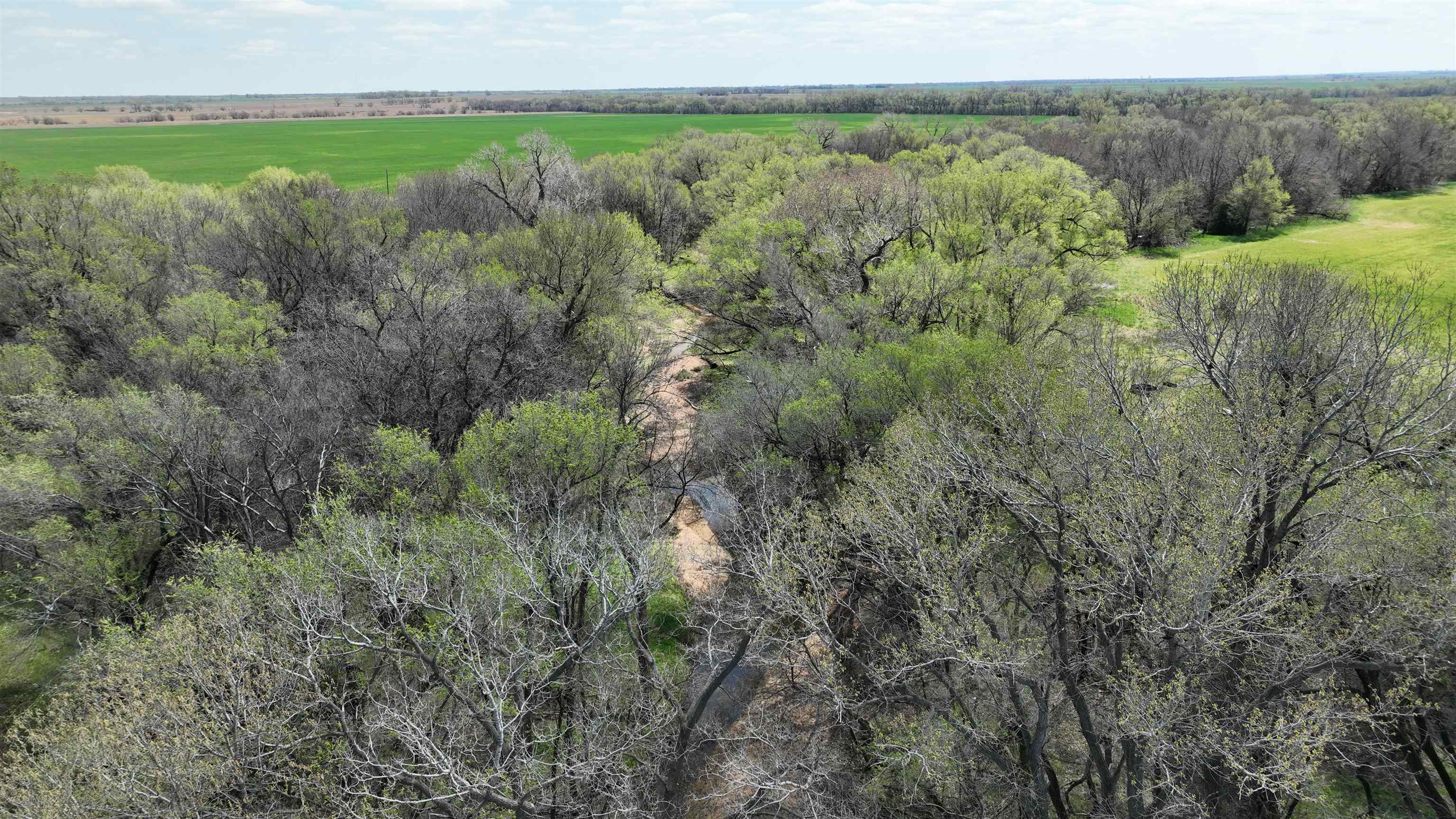 000 NW 70 Rd, Harper, Kansas image 18