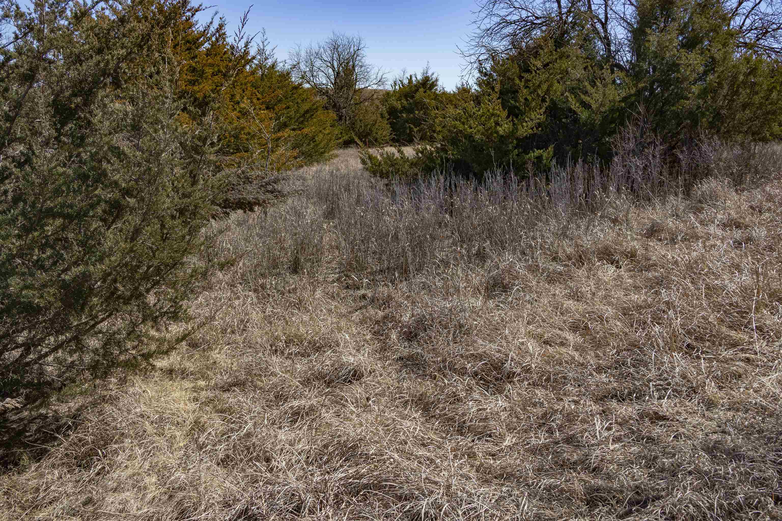 00000 S Seneca Rd, Wellington, Kansas image 13