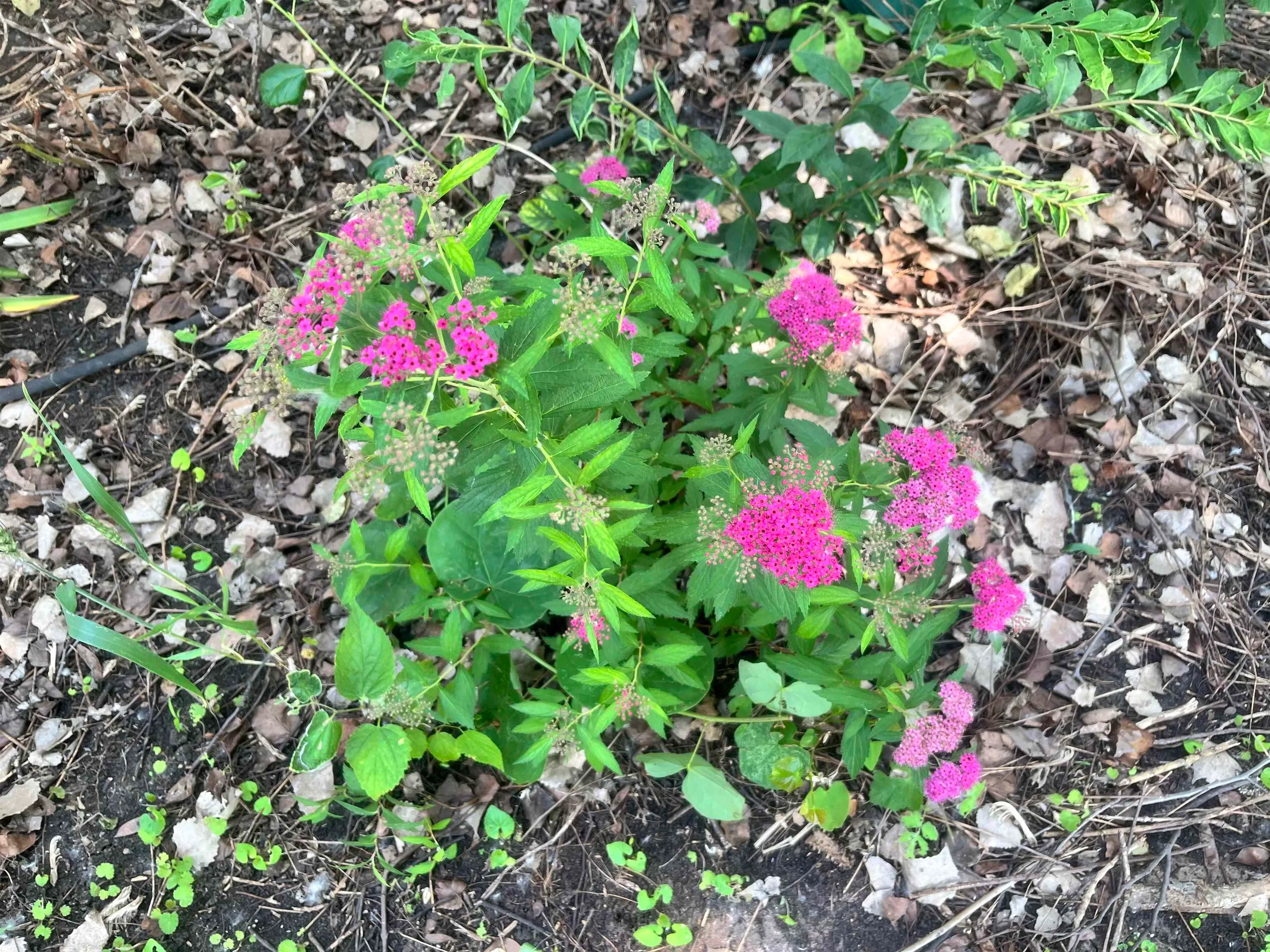 Marion, Kansas 66861, United States, 3 Bedrooms Bedrooms, ,2 BathroomsBathrooms,Residential,Active,144116