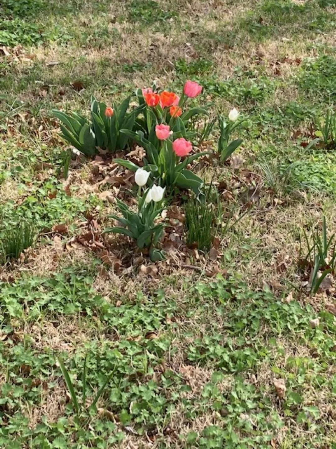 Wichita, Kansas 67203, United States, 2 Bedrooms Bedrooms, ,1 BathroomBathrooms,Residential,Active,102885