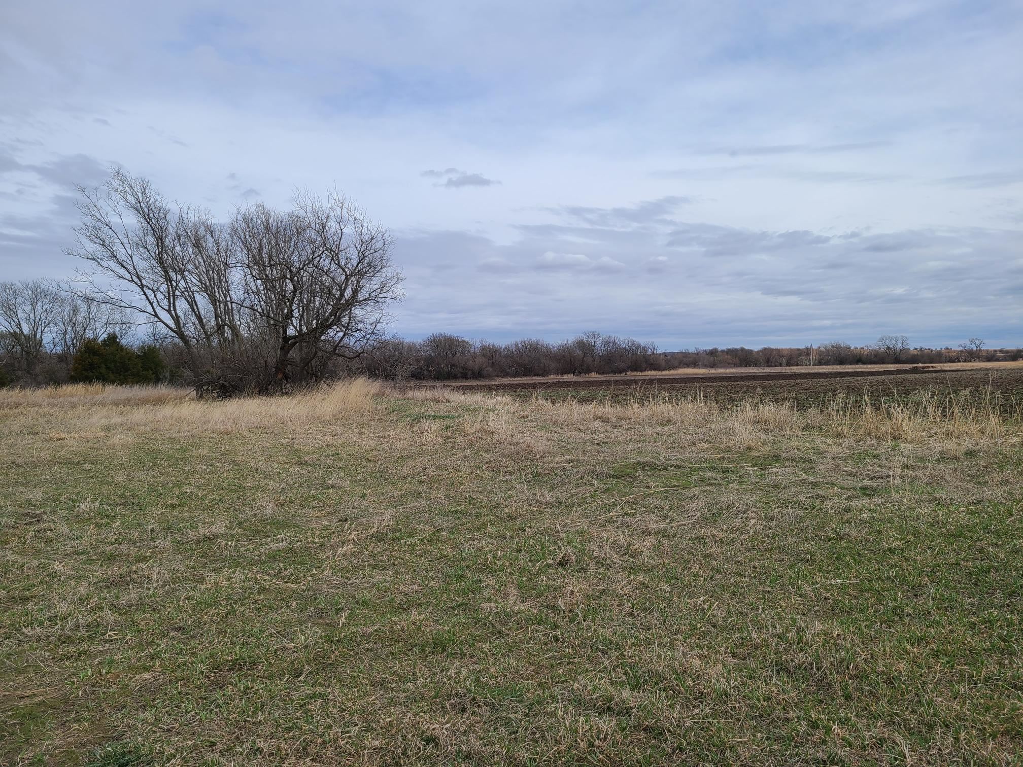 000 151st, Burden, Kansas image 13