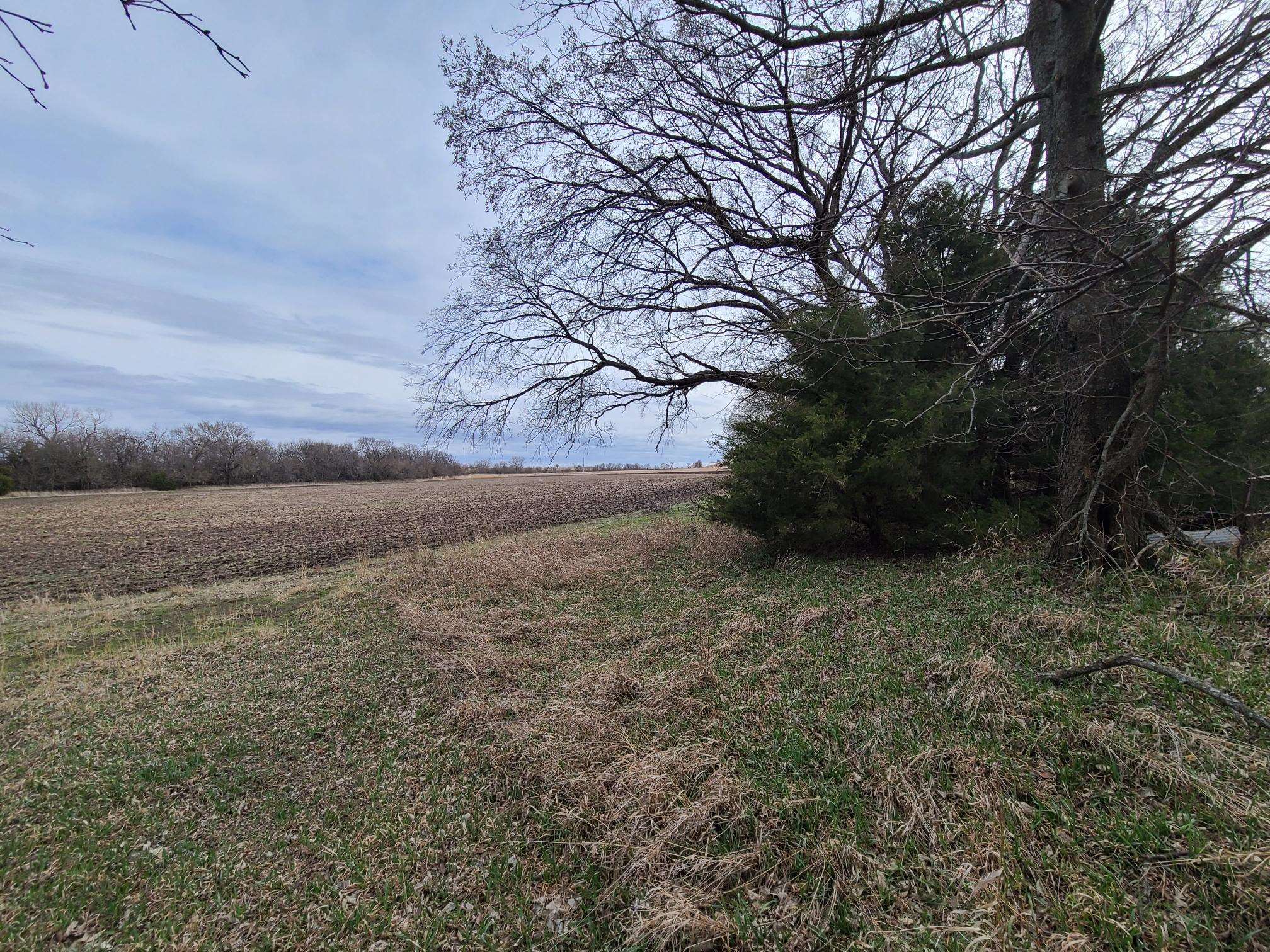 000 151st, Burden, Kansas image 9