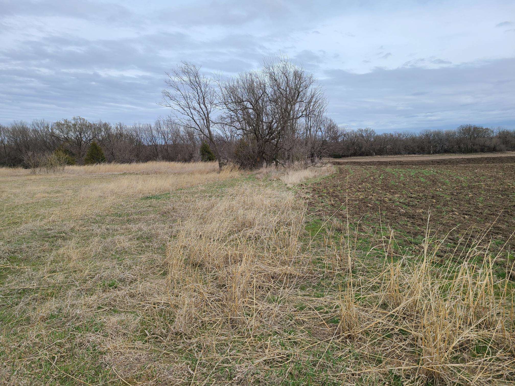 000 151st, Burden, Kansas image 1