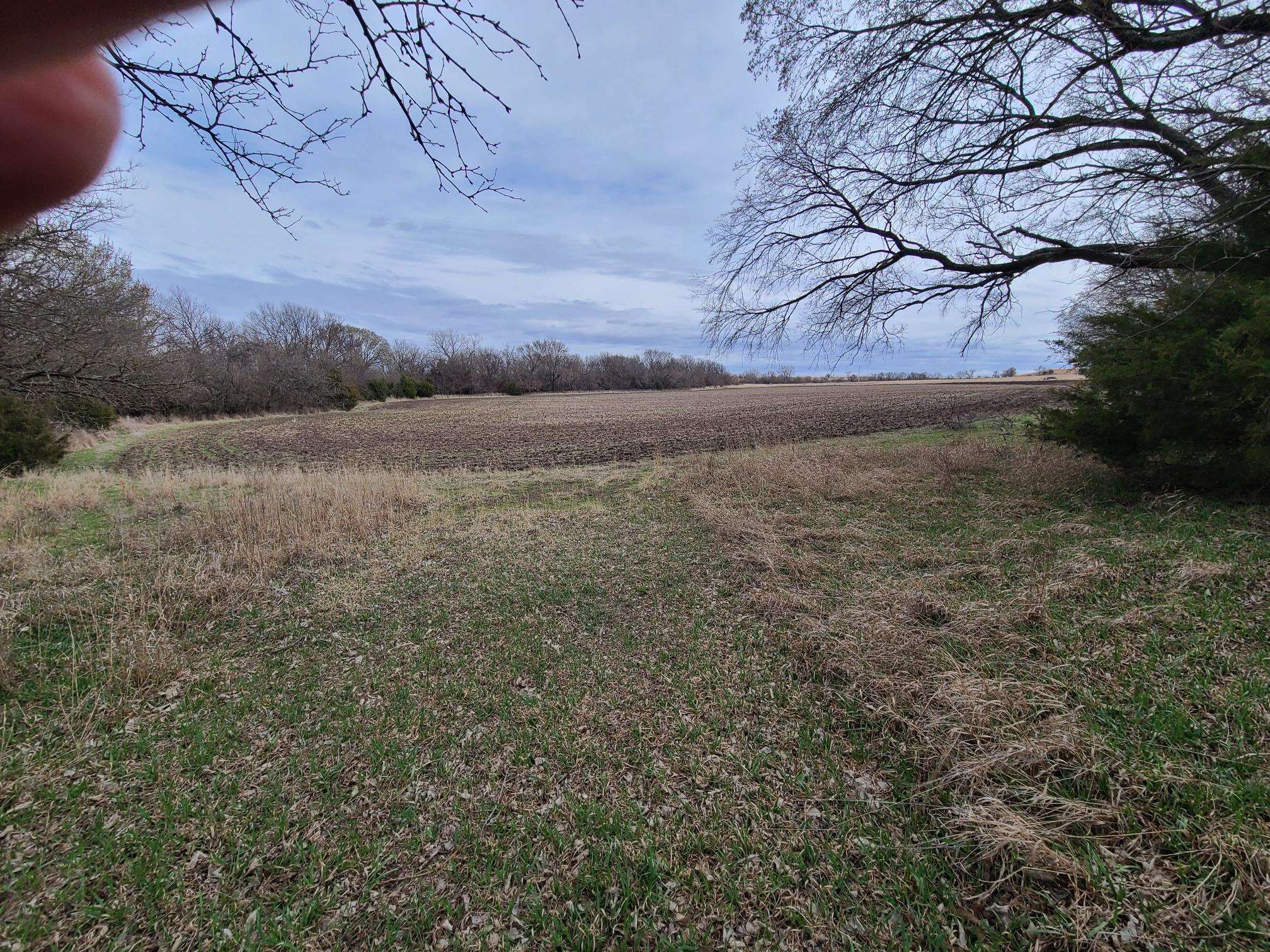 000 151st, Burden, Kansas image 8