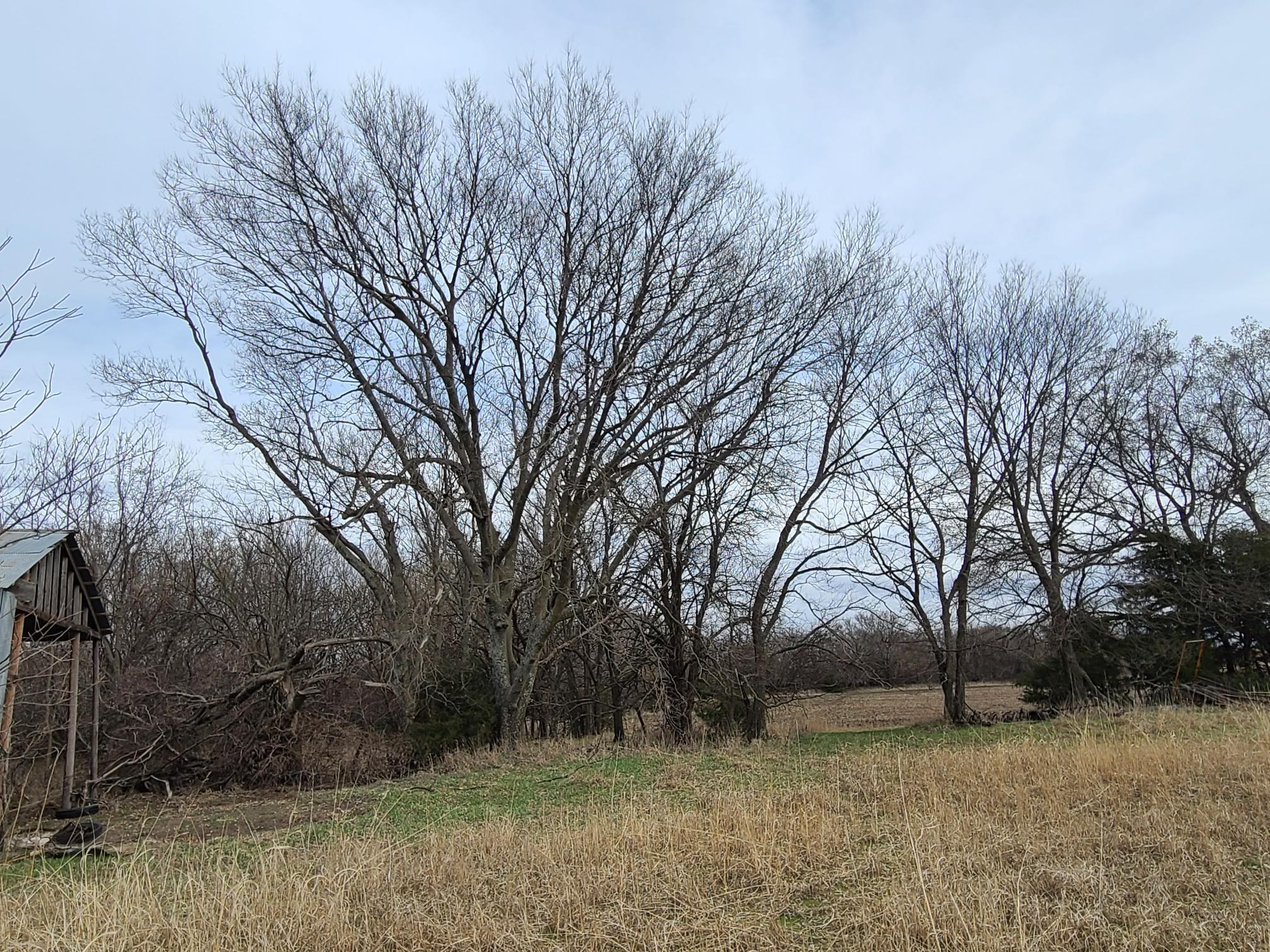 000 151st, Burden, Kansas image 6