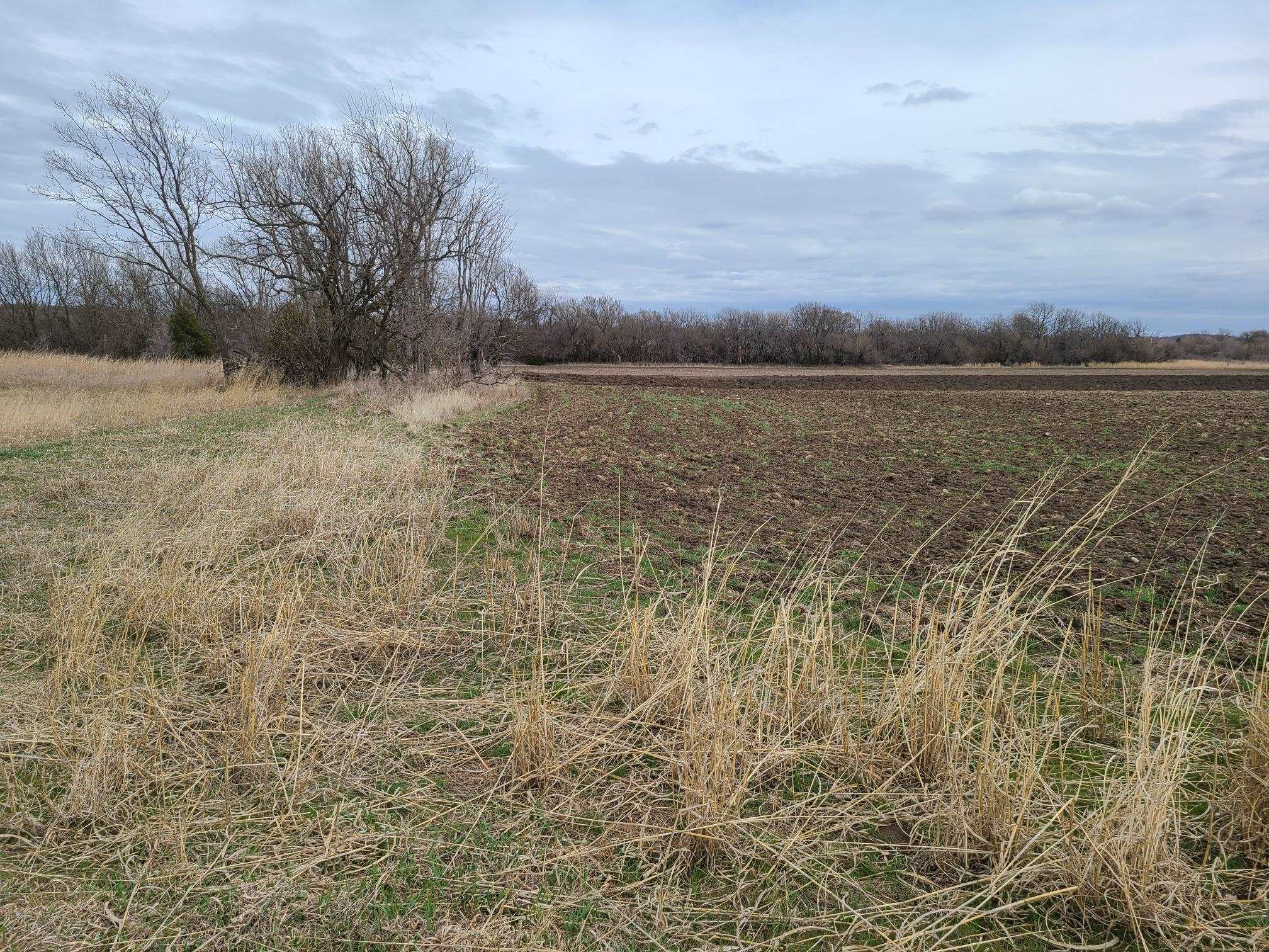 000 151st, Burden, Kansas image 14