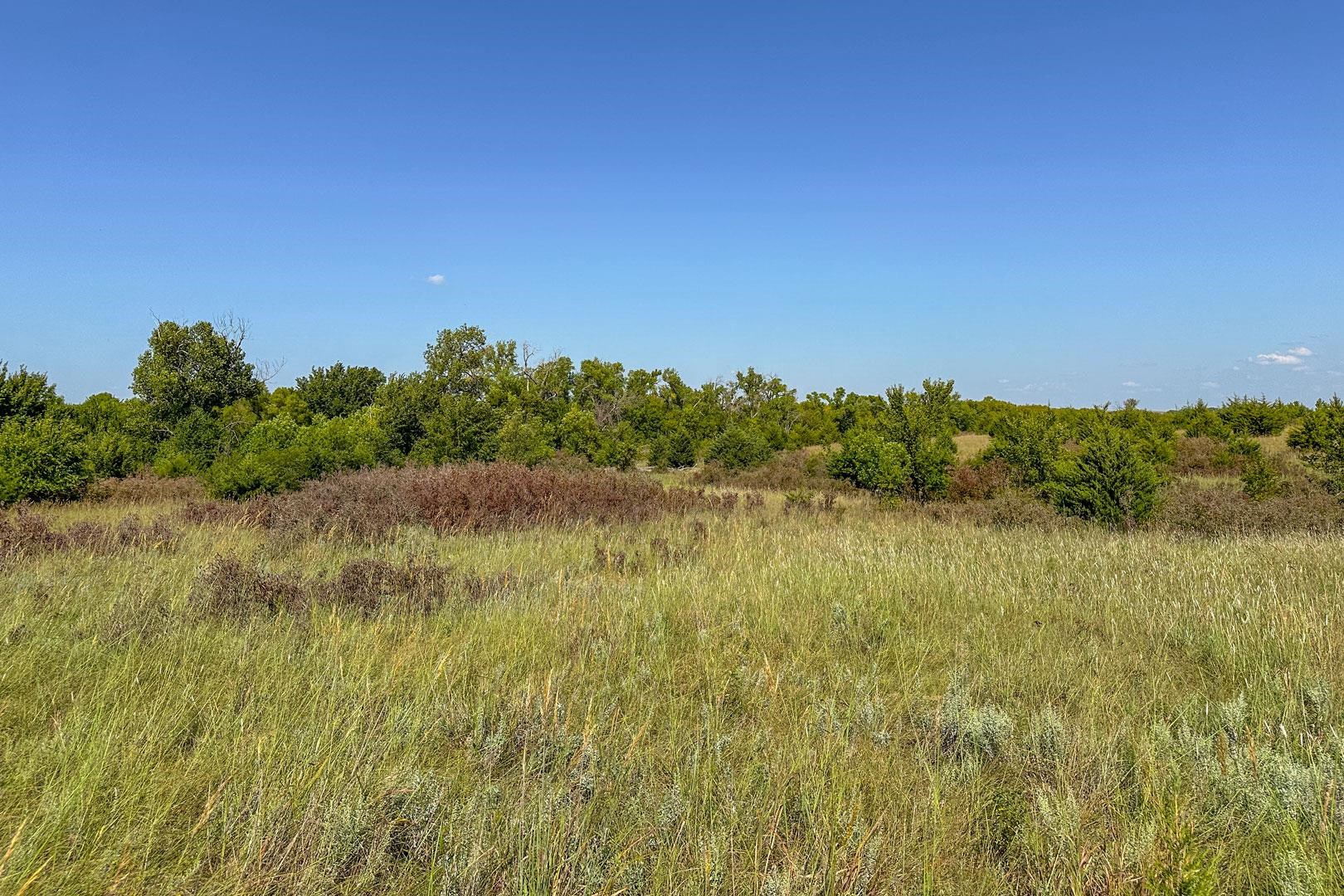 00000 S Niles Rd, Gypsum, Kansas image 34