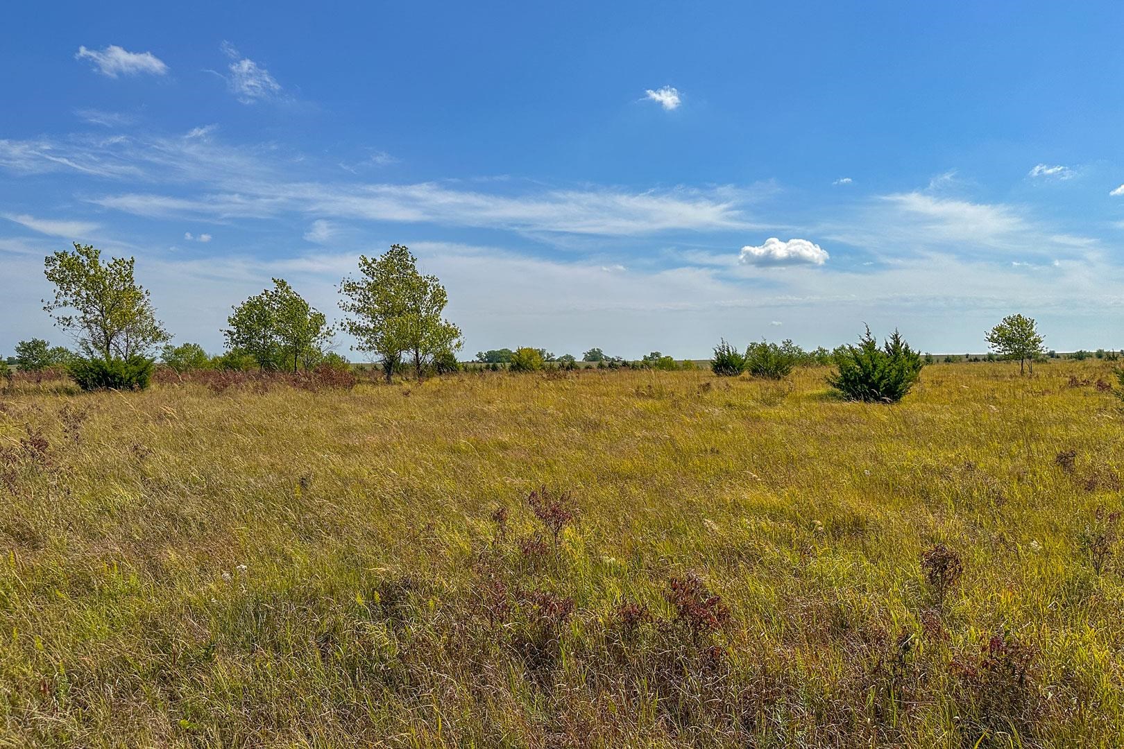 00000 S Niles Rd, Gypsum, Kansas image 33