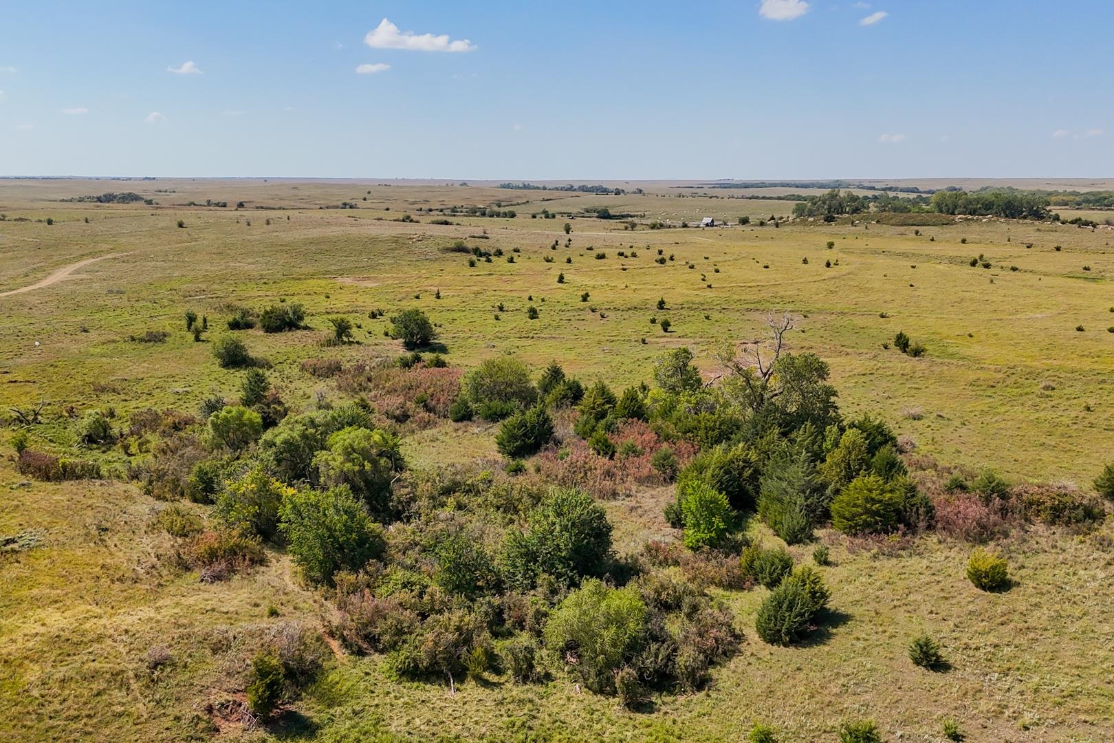 00000 S Niles Rd, Gypsum, Kansas image 9