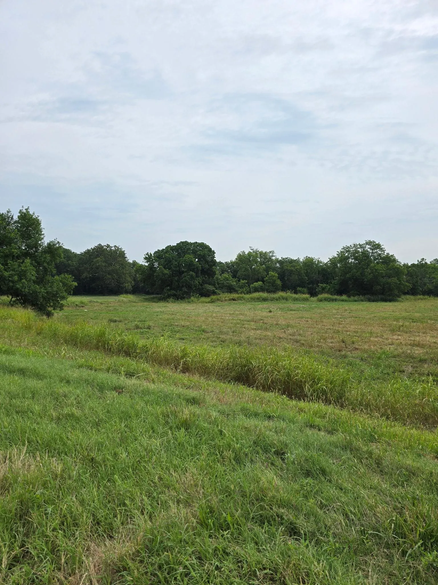 Grenola, Kansas 67346, United States, ,Land,Active,184508