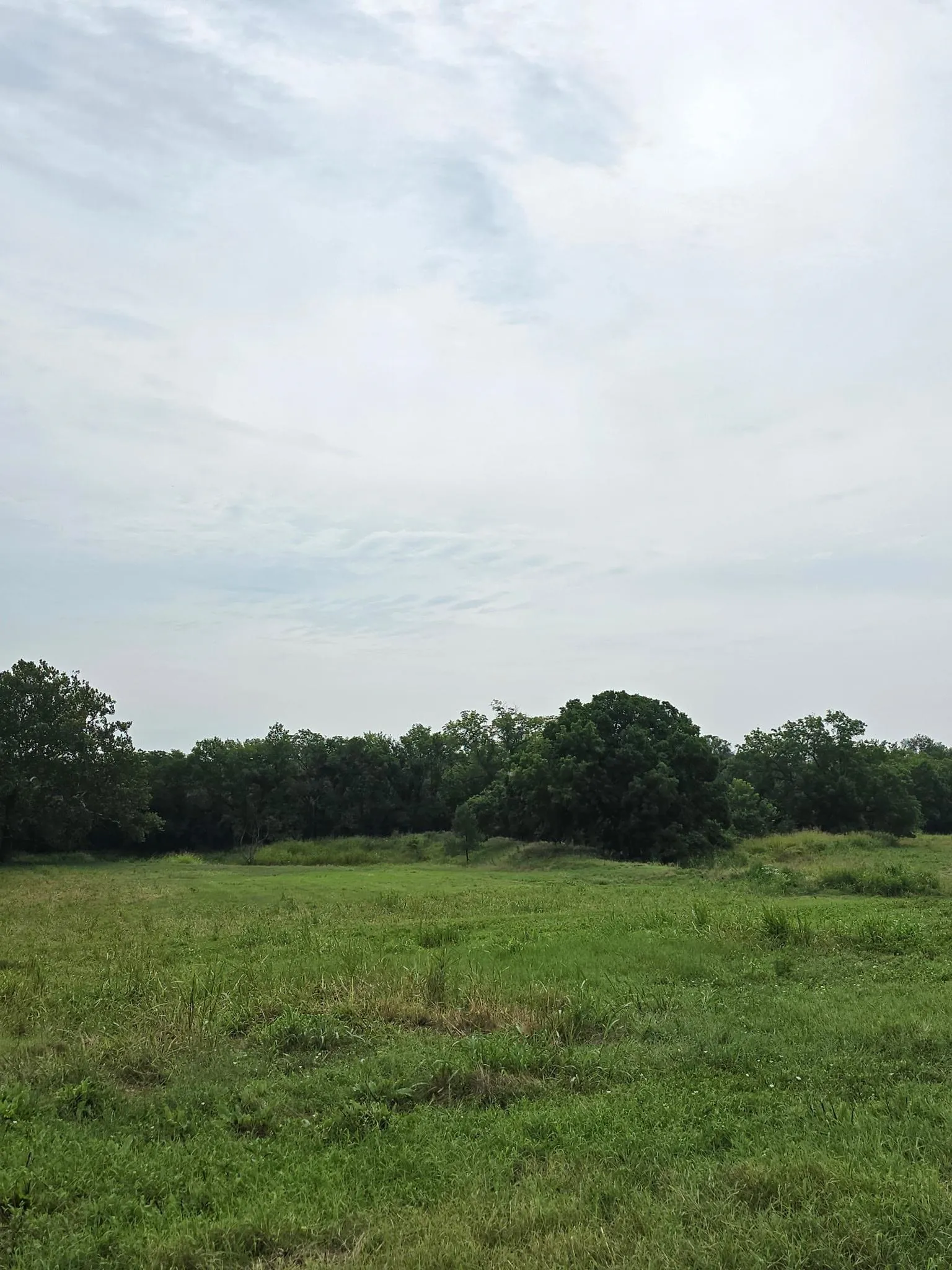 Grenola, Kansas 67346, United States, ,Land,Active,184508