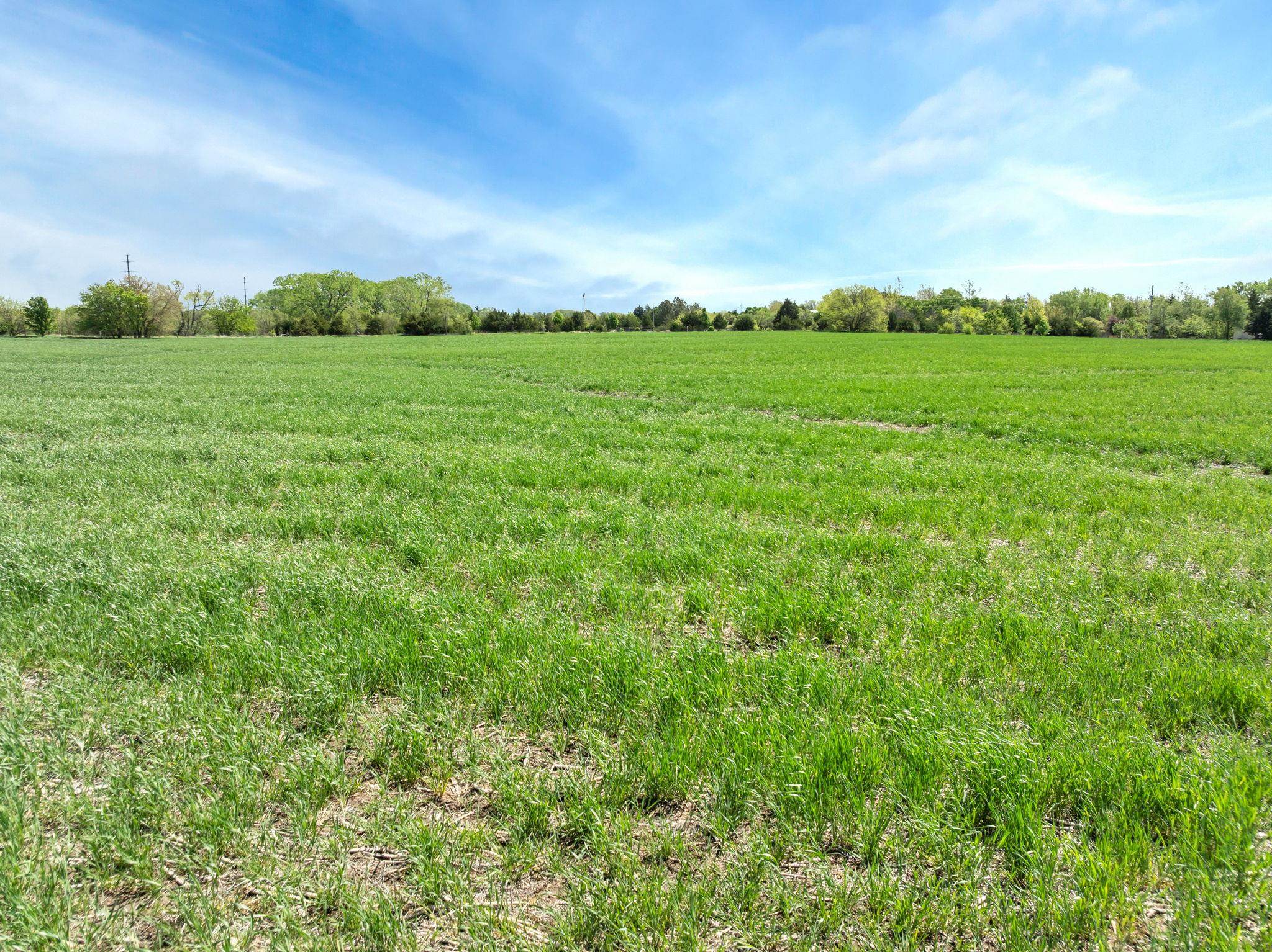 SE Of SW 160th St & S 159th St E - Tract 3, Rose Hill, Kansas image 9