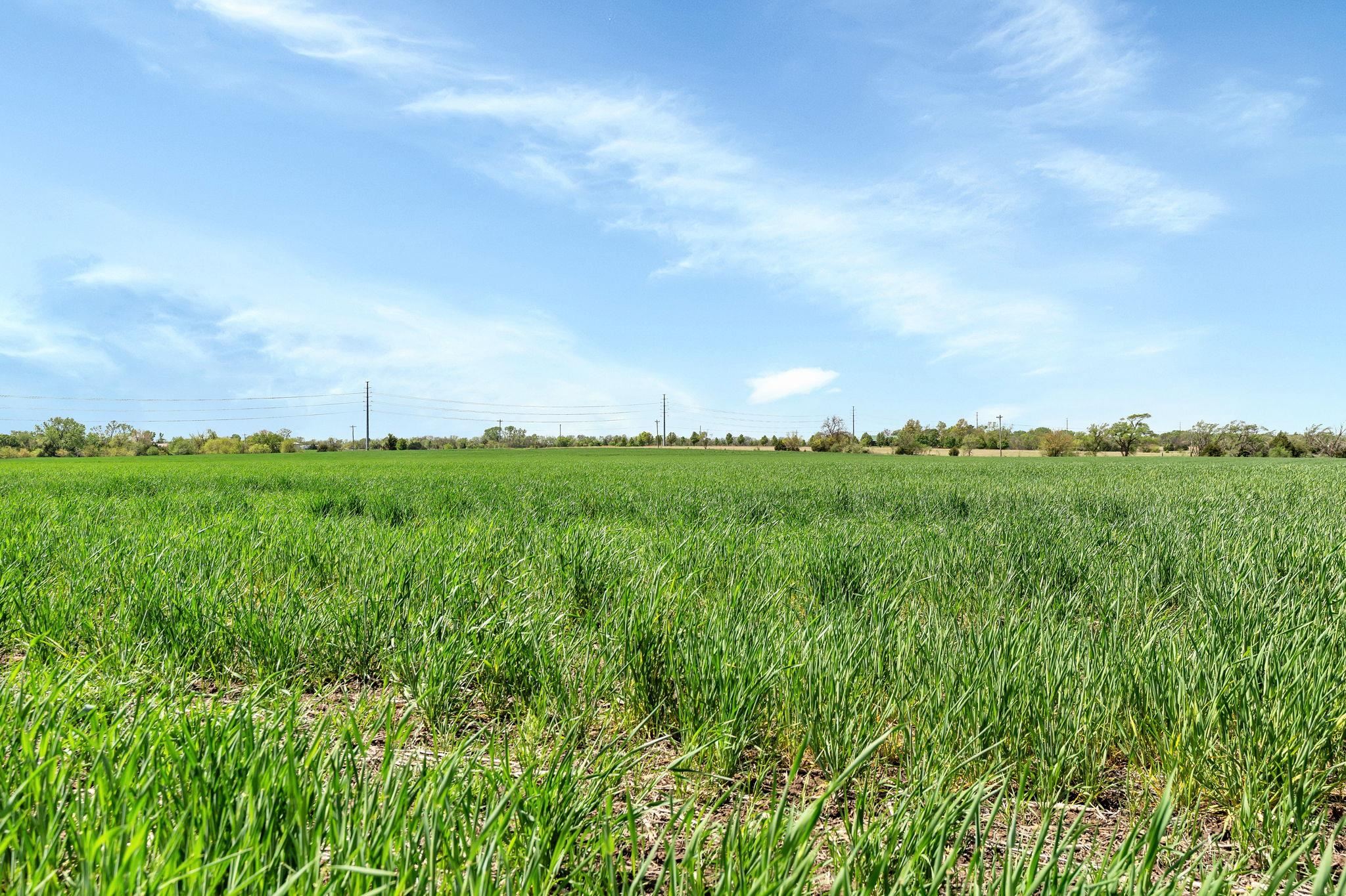 SE Of SW 160th St & S 159th St E - Tract 3, Rose Hill, Kansas image 6