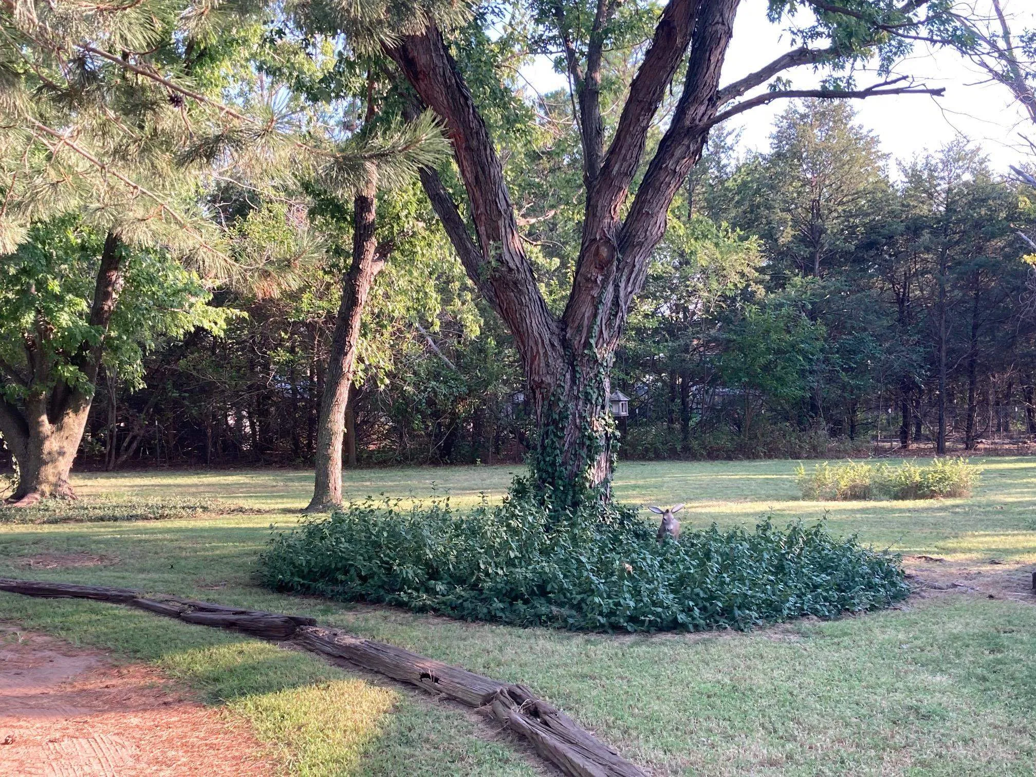 Cheney, Kansas 67025, United States, 5 Bedrooms Bedrooms, ,3 BathroomsBathrooms,Residential,Pending,37848