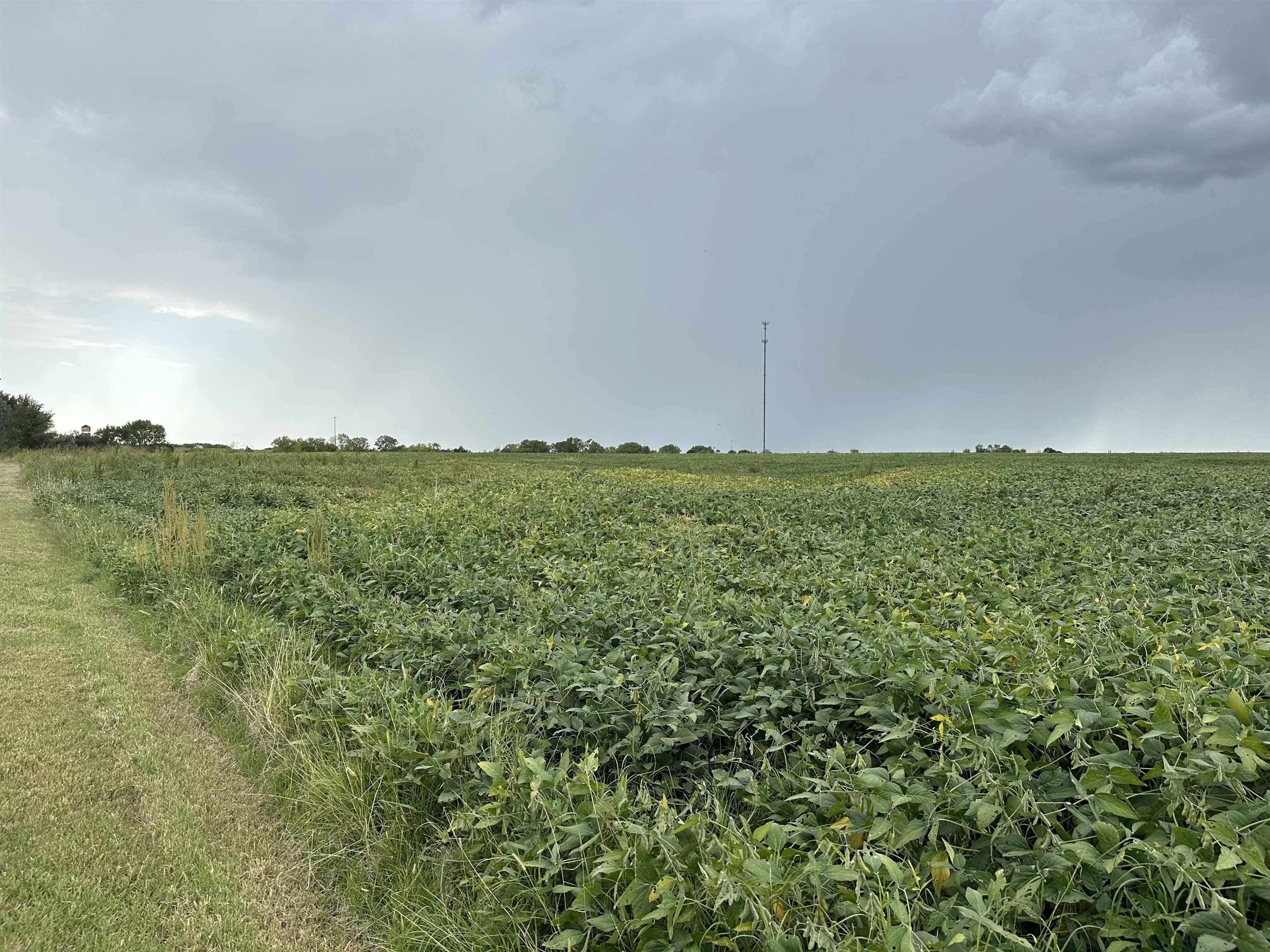 0000 W Dutch Ave, Hesston, Kansas image 6