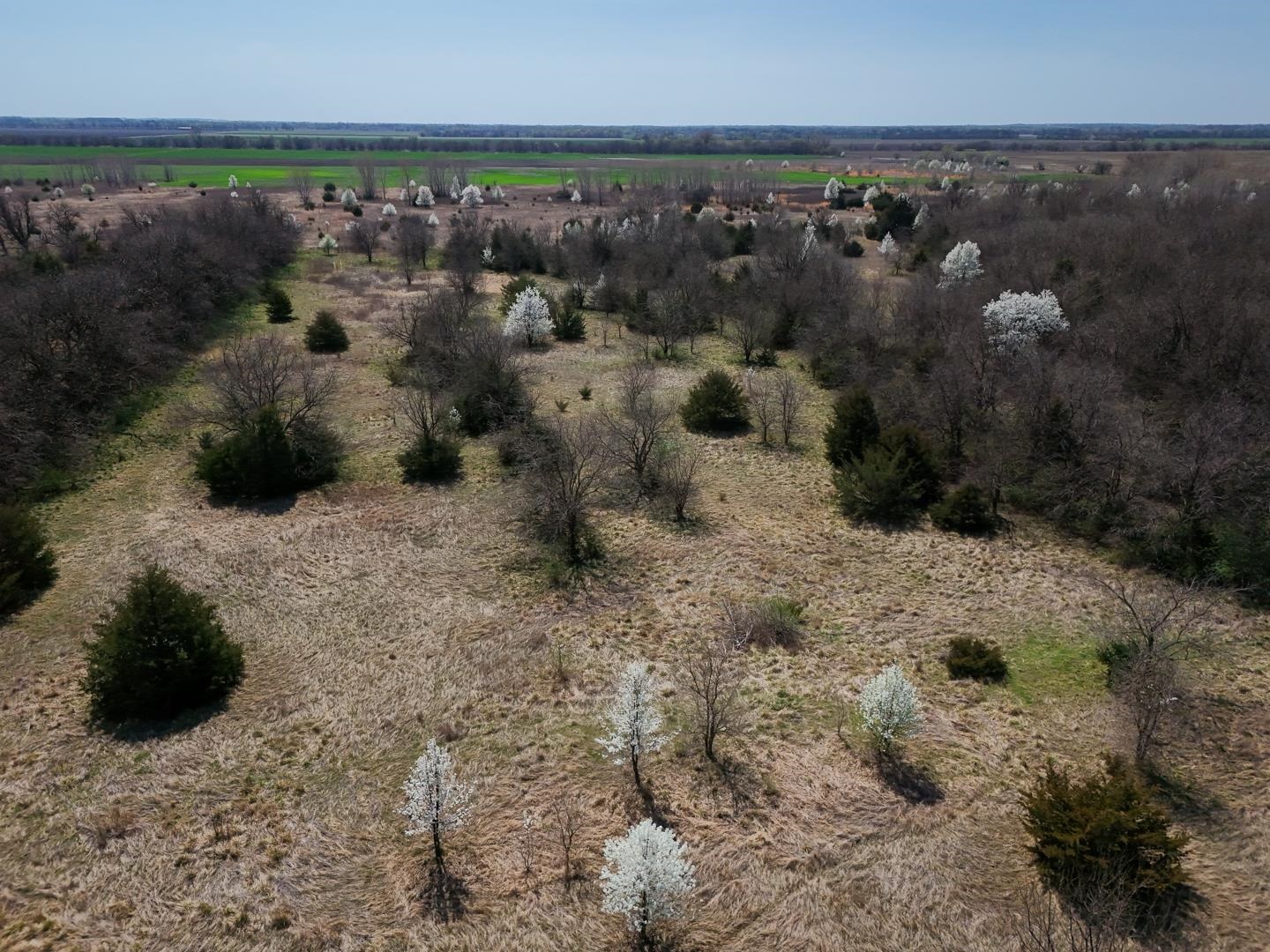25.05+/- Acres 103rd St, Clearwater, Kansas image 32