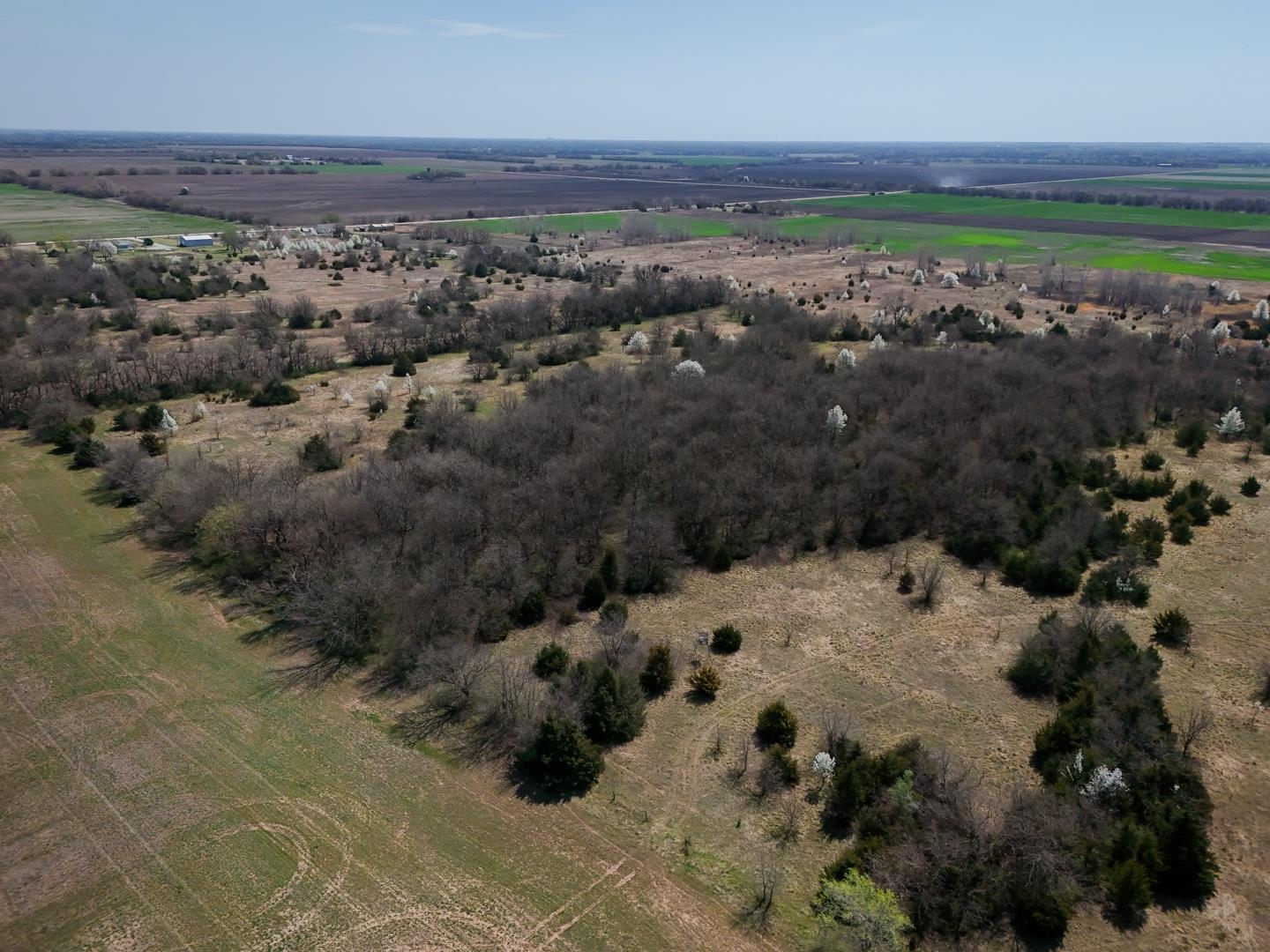 25.05+/- Acres 103rd St, Clearwater, Kansas image 18