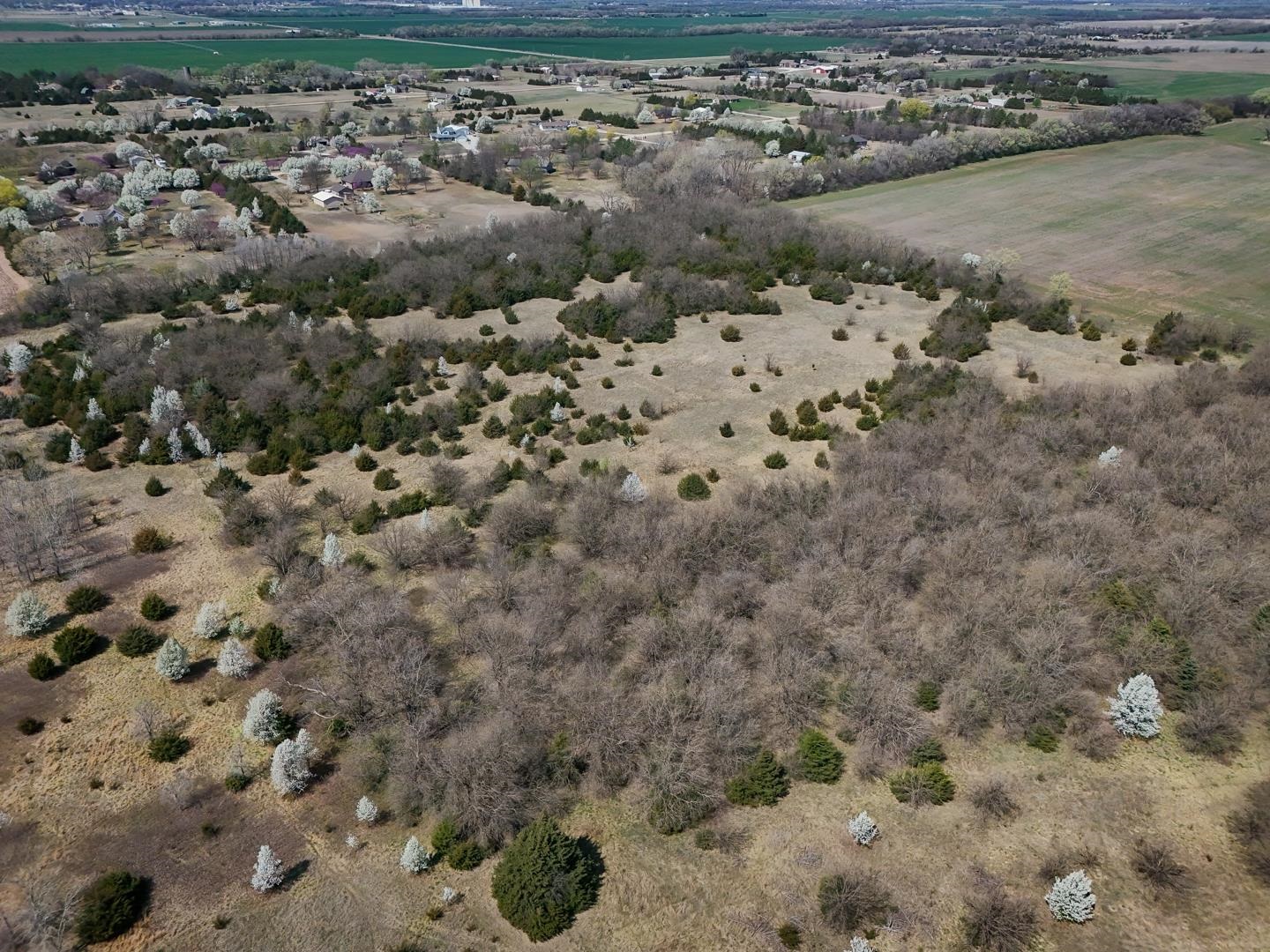 25.05+/- Acres 103rd St, Clearwater, Kansas image 6