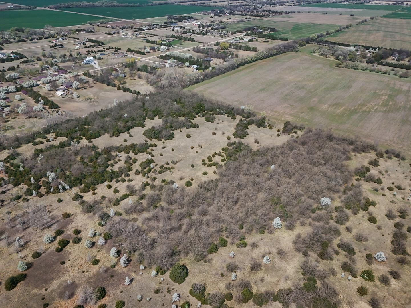 25.05+/- Acres 103rd St, Clearwater, Kansas image 5