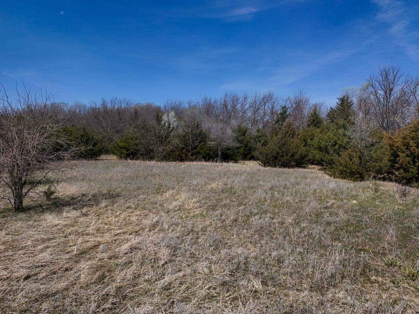 25.05+/- Acres 103rd St, Clearwater, Kansas image 22