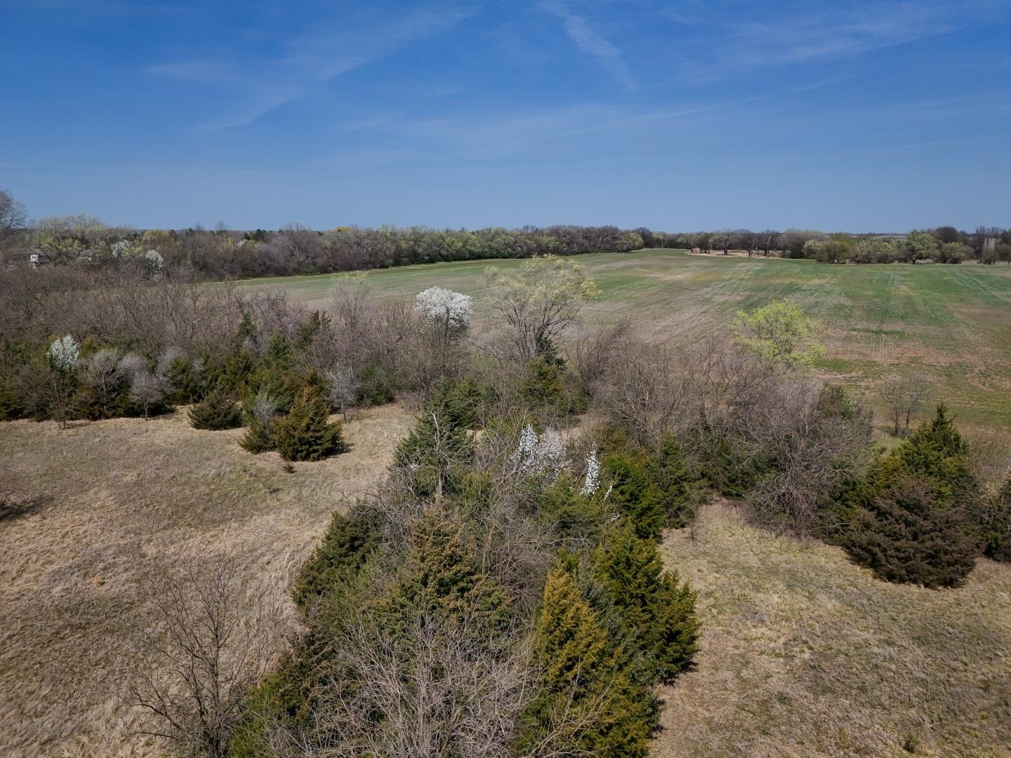 25.05+/- Acres 103rd St, Clearwater, Kansas image 16