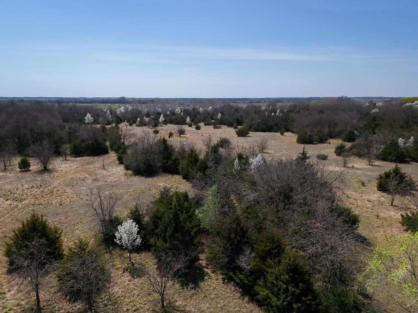 25.05+/- Acres 103rd St, Clearwater, Kansas image 17