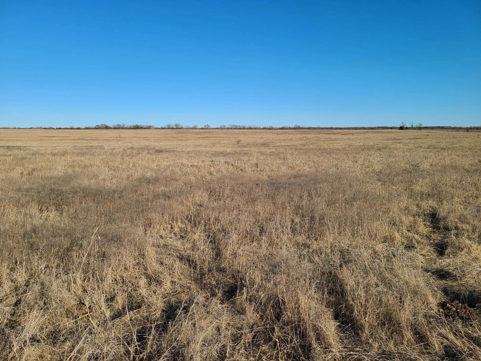 Cedar Vale, Kansas 67024, United States, ,Residential,Pending,147126