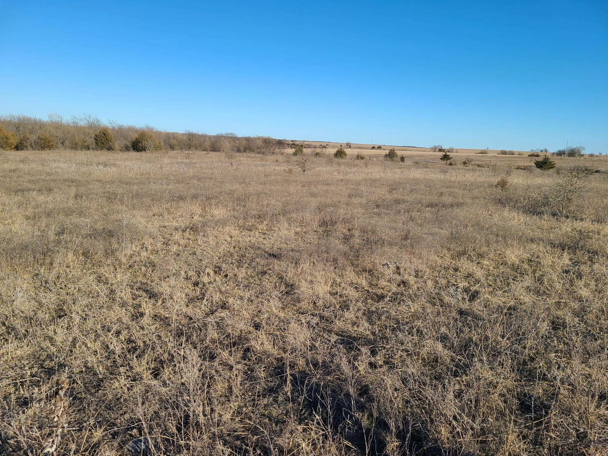 Cedar Vale, Kansas 67024, United States, ,Residential,Pending,147126