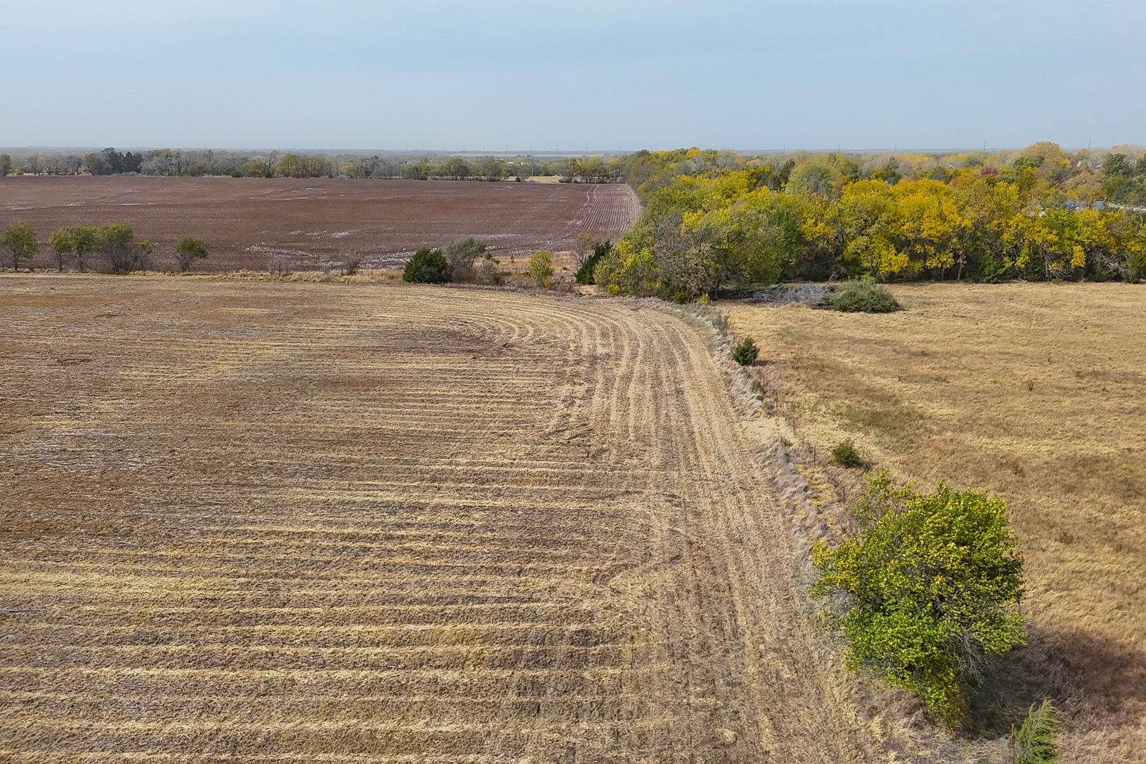 9-/ Acres On Sw 220th #TRACT 5, Douglass, Kansas image 6