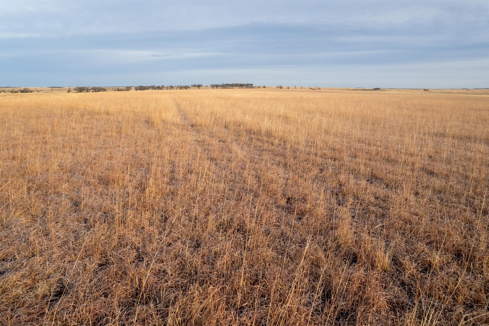 0000 Cr, Marion, Kansas image 5