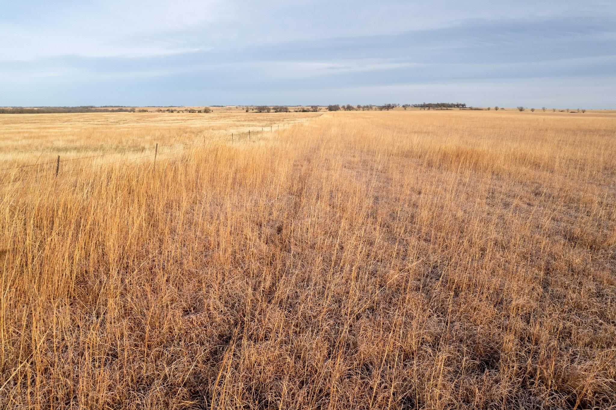 0000 Cr, Marion, Kansas image 7