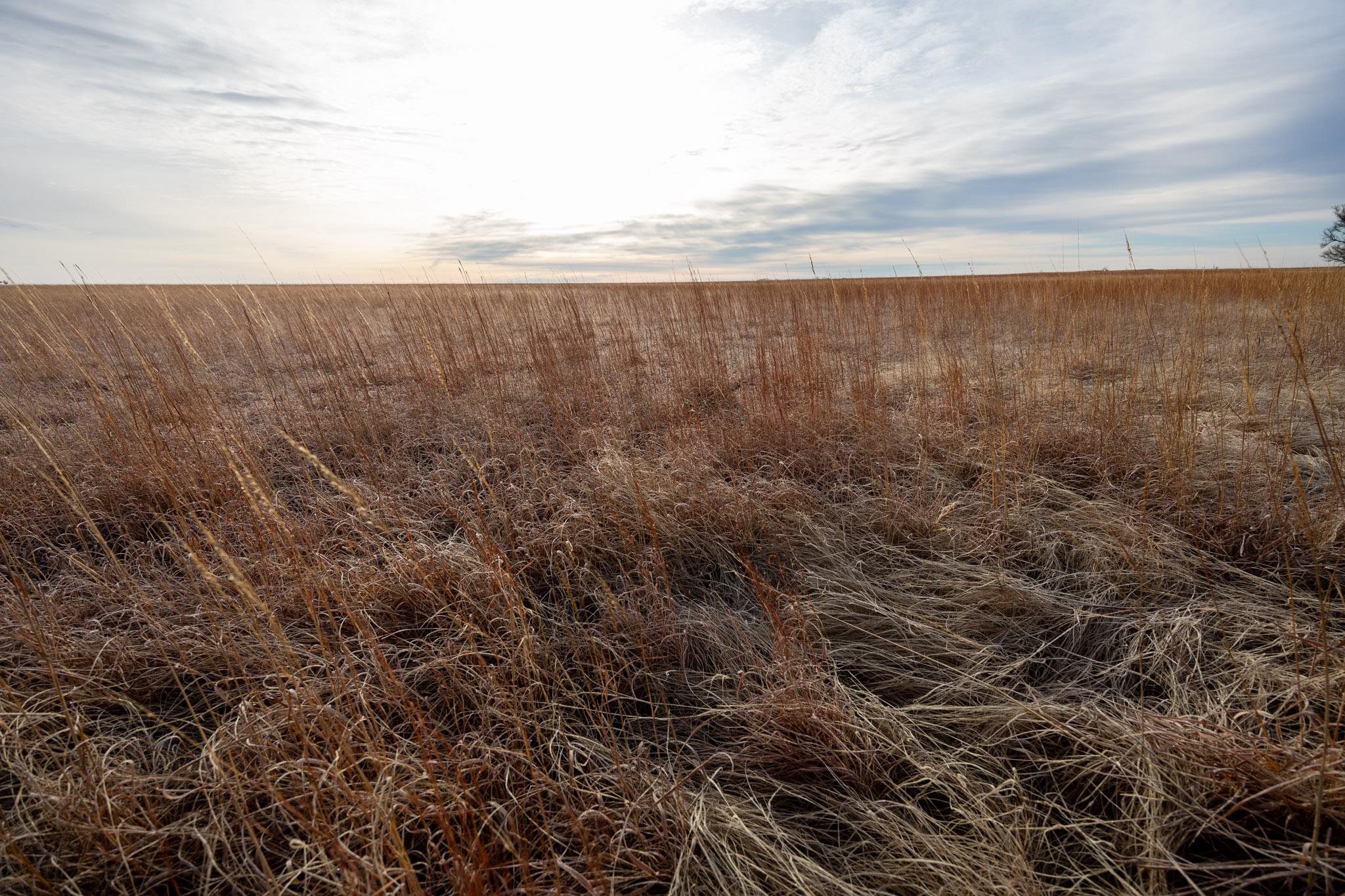 0000 Cr, Marion, Kansas image 9