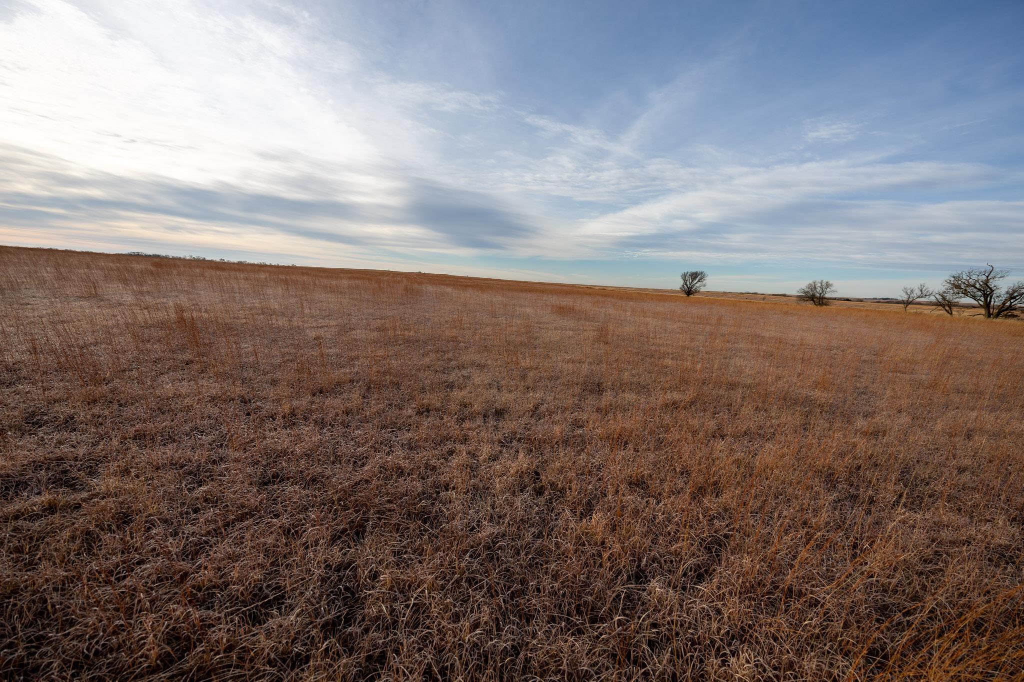 0000 Cr, Marion, Kansas image 10