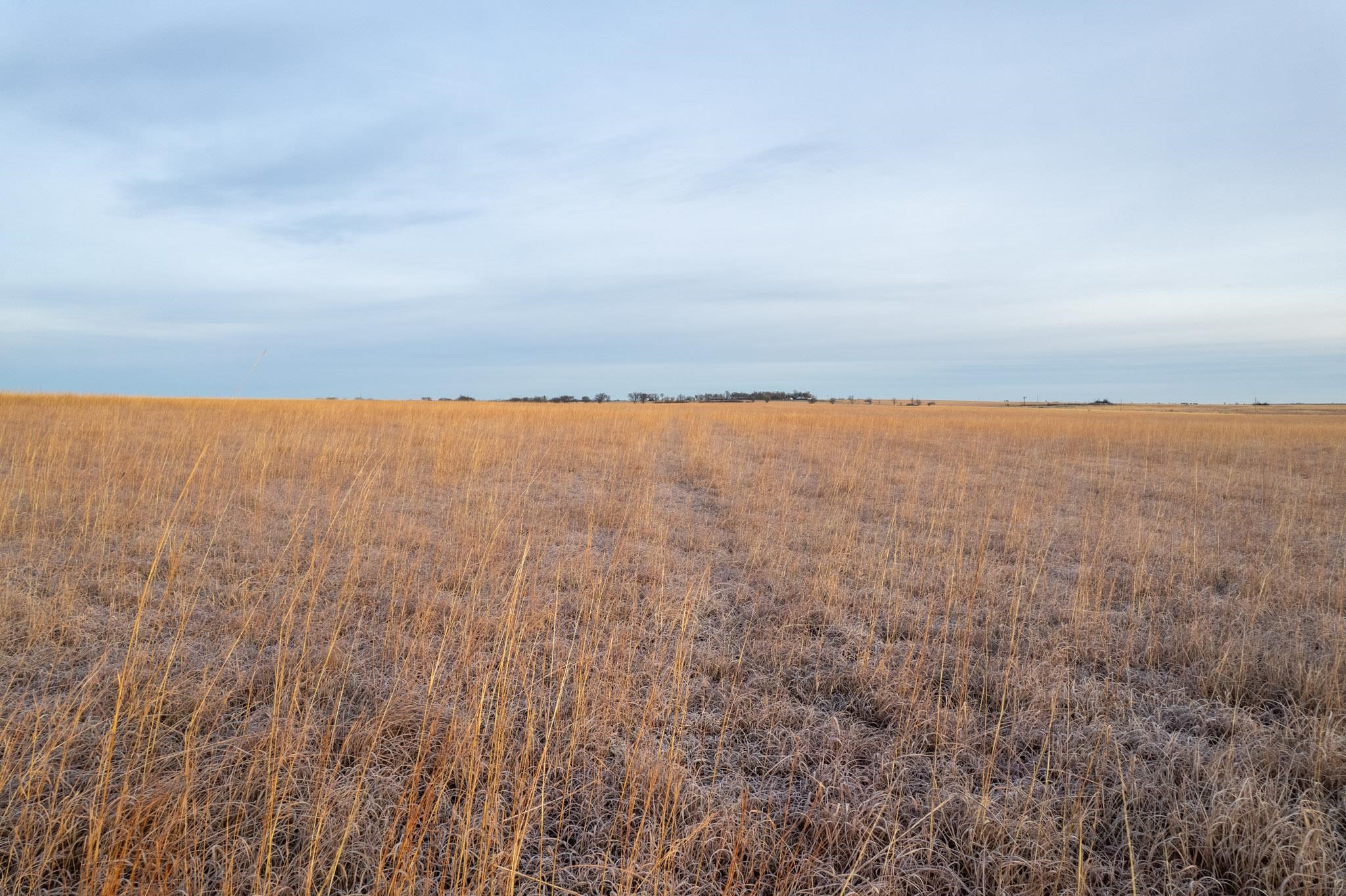 0000 Cr, Marion, Kansas image 4