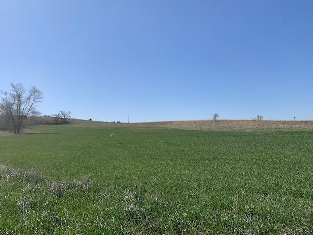 Laramie Road, Minneapolis, Kansas image 6