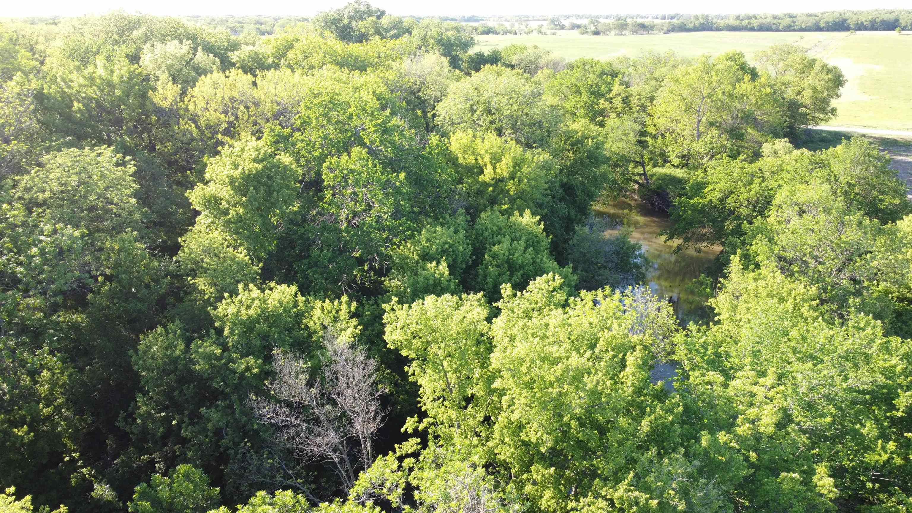 000 W 16th St, Wellington, Kansas image 12