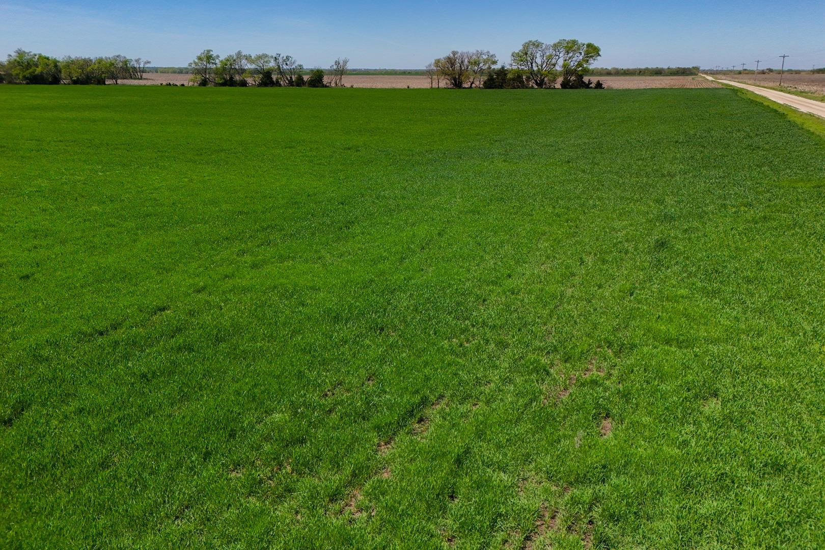 SE 96th St, Valley Center, Kansas image 16