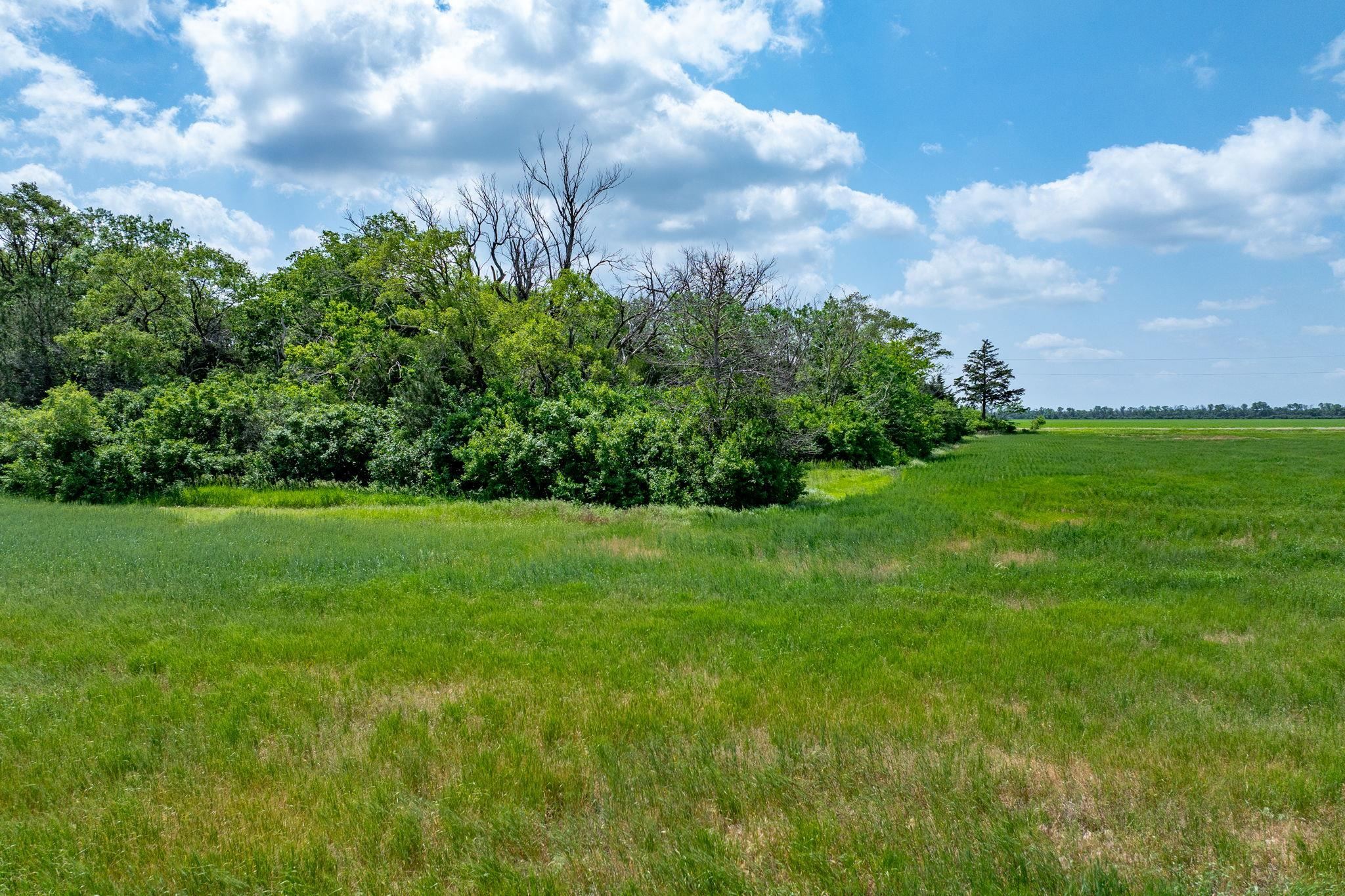 Lot 6 E Cedar Rust Estates, Goddard, Kansas image 4